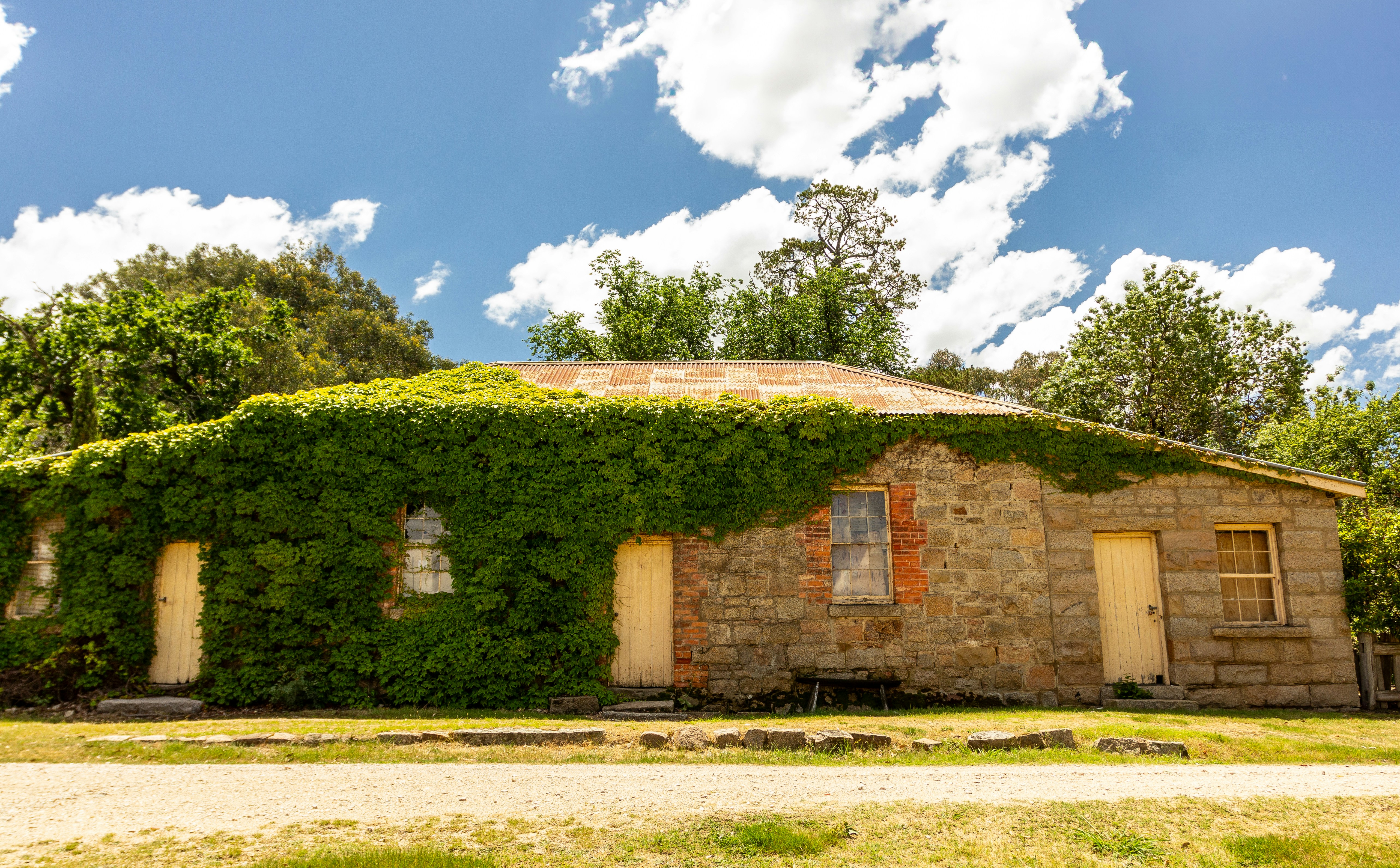 A house covered in vines sitting in the middle of a field