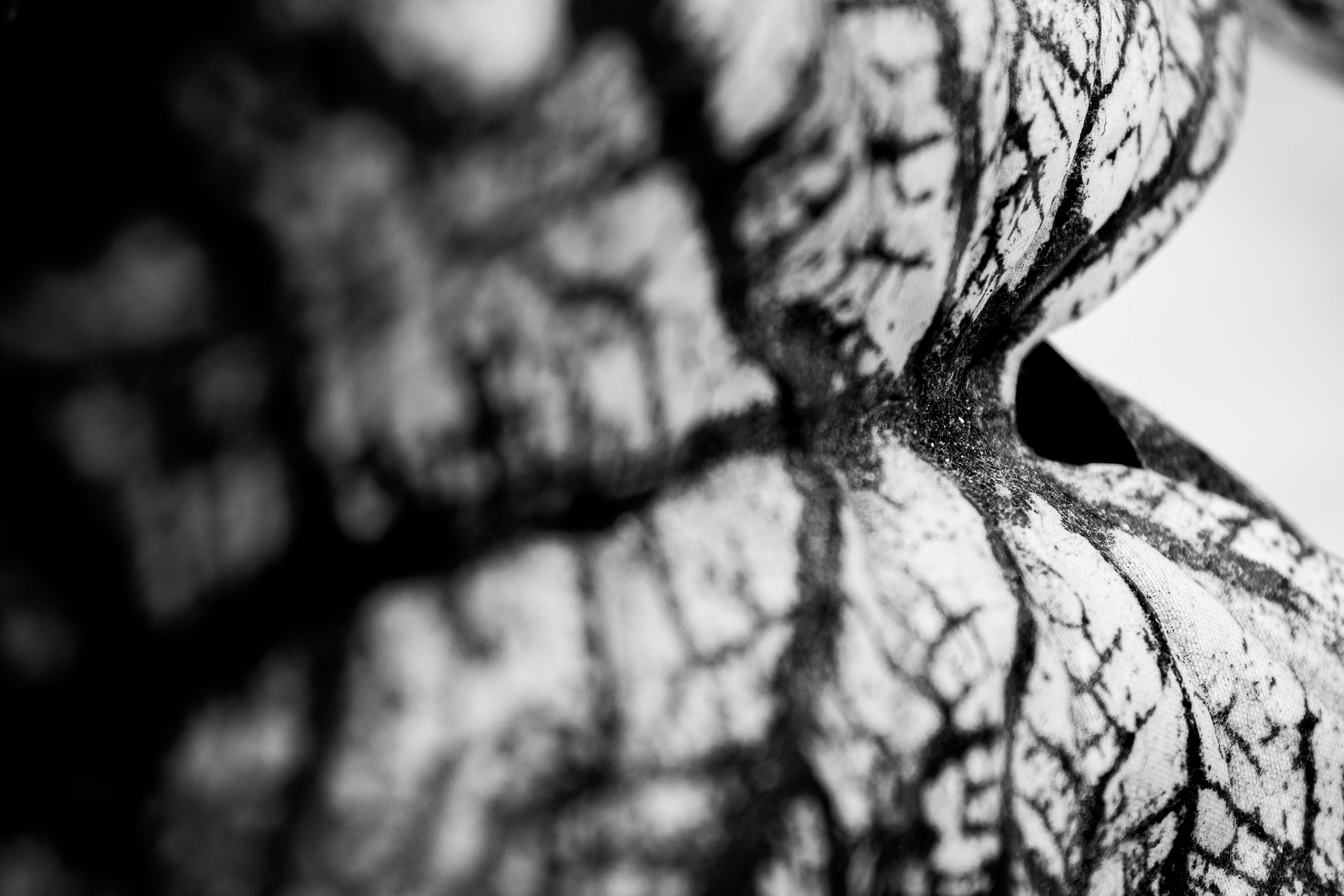 Photo by akire_photo