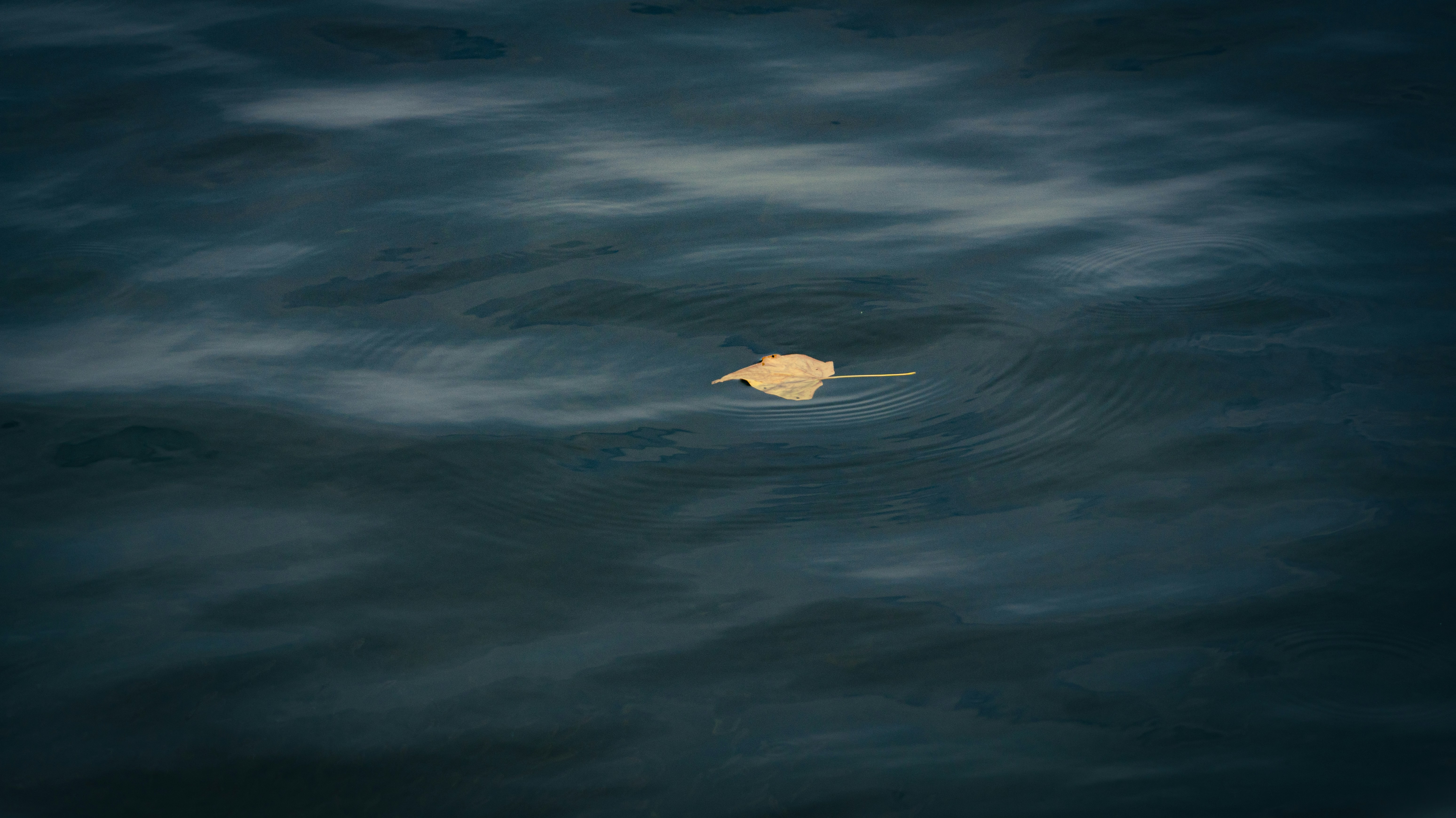 A yellow object floating on top of a body of water