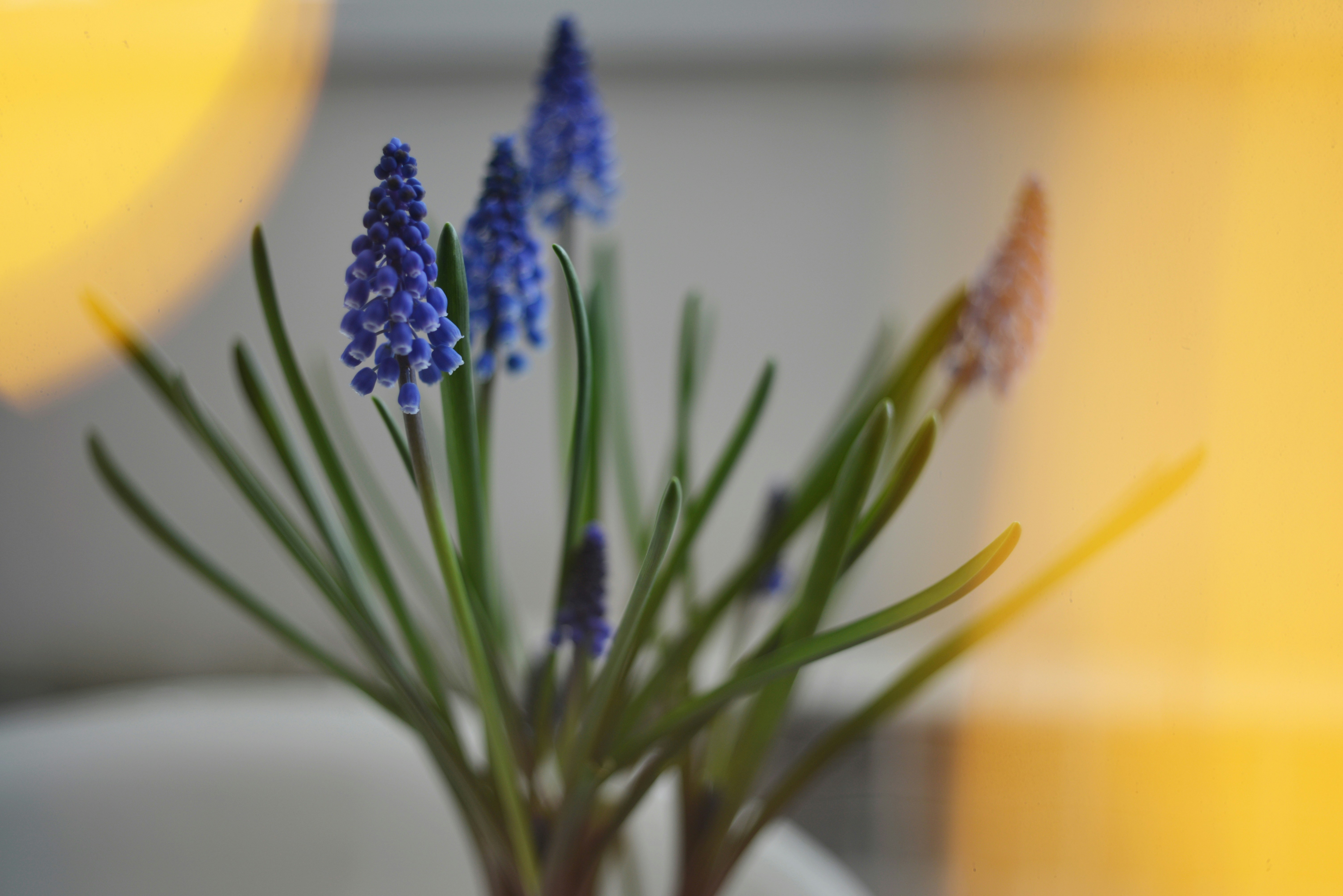 Photo by cherstve_pechivo