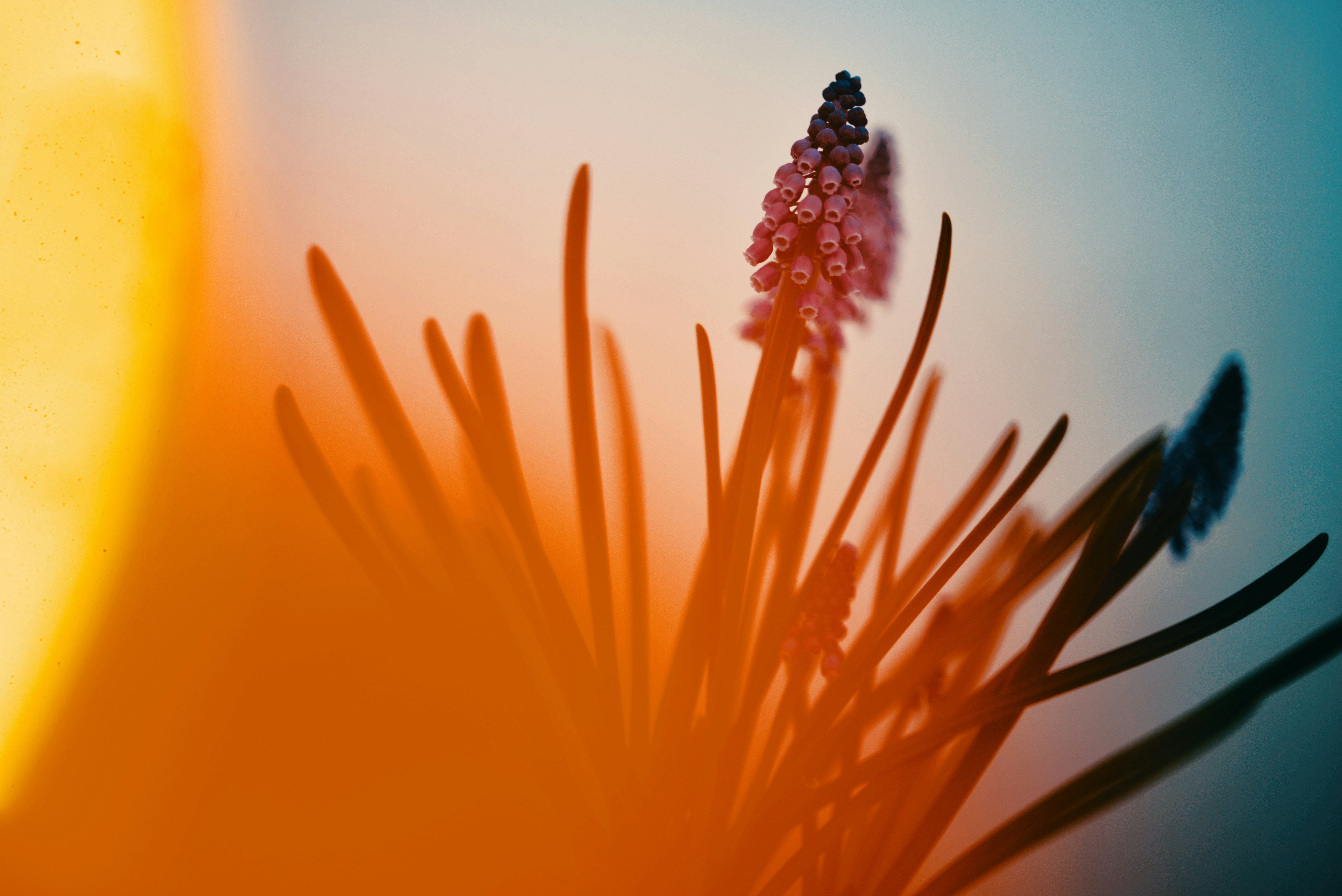 Photo by cherstve_pechivo