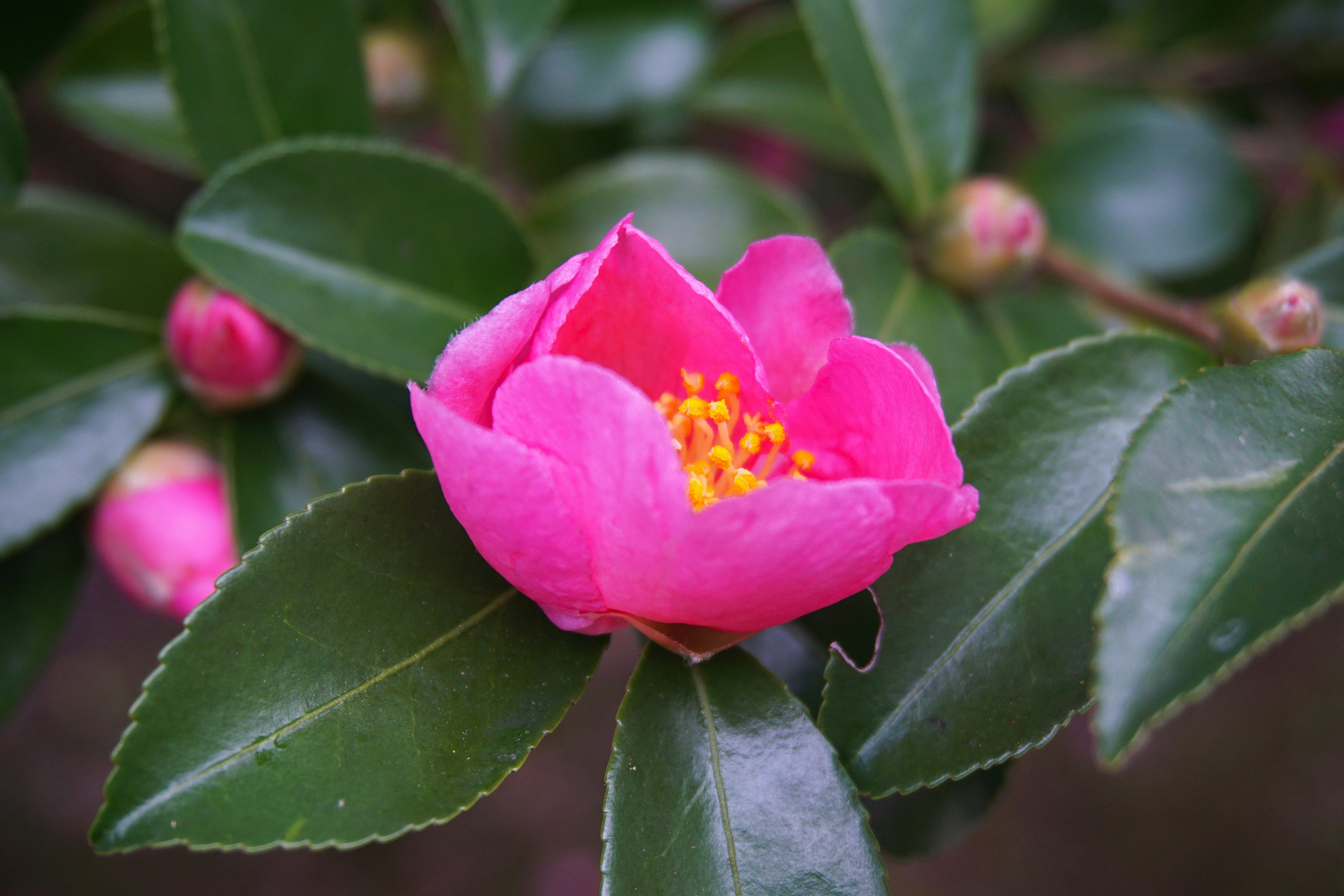 Photo by syadzasalsabyla