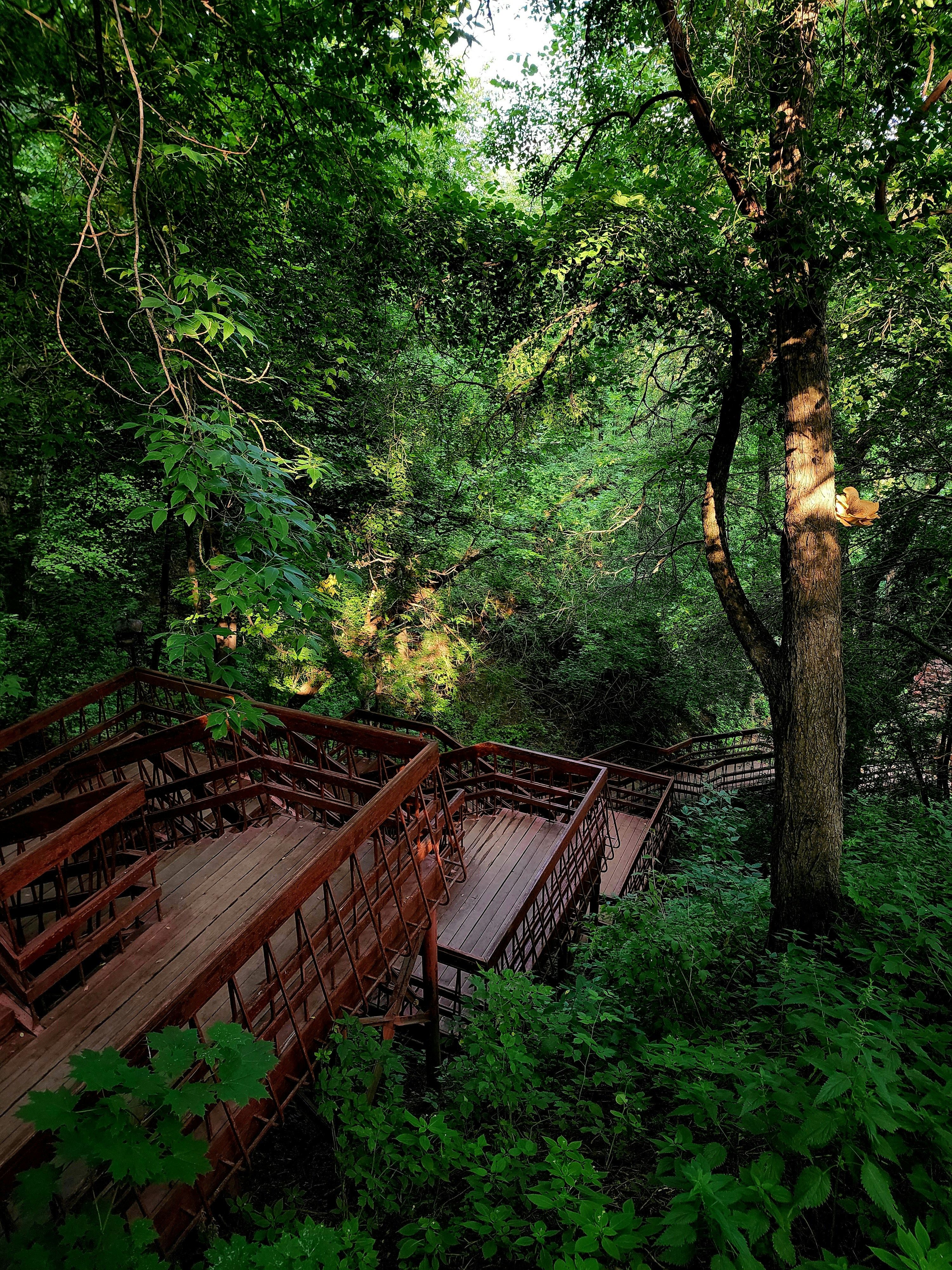 Photo by absolutepleasure