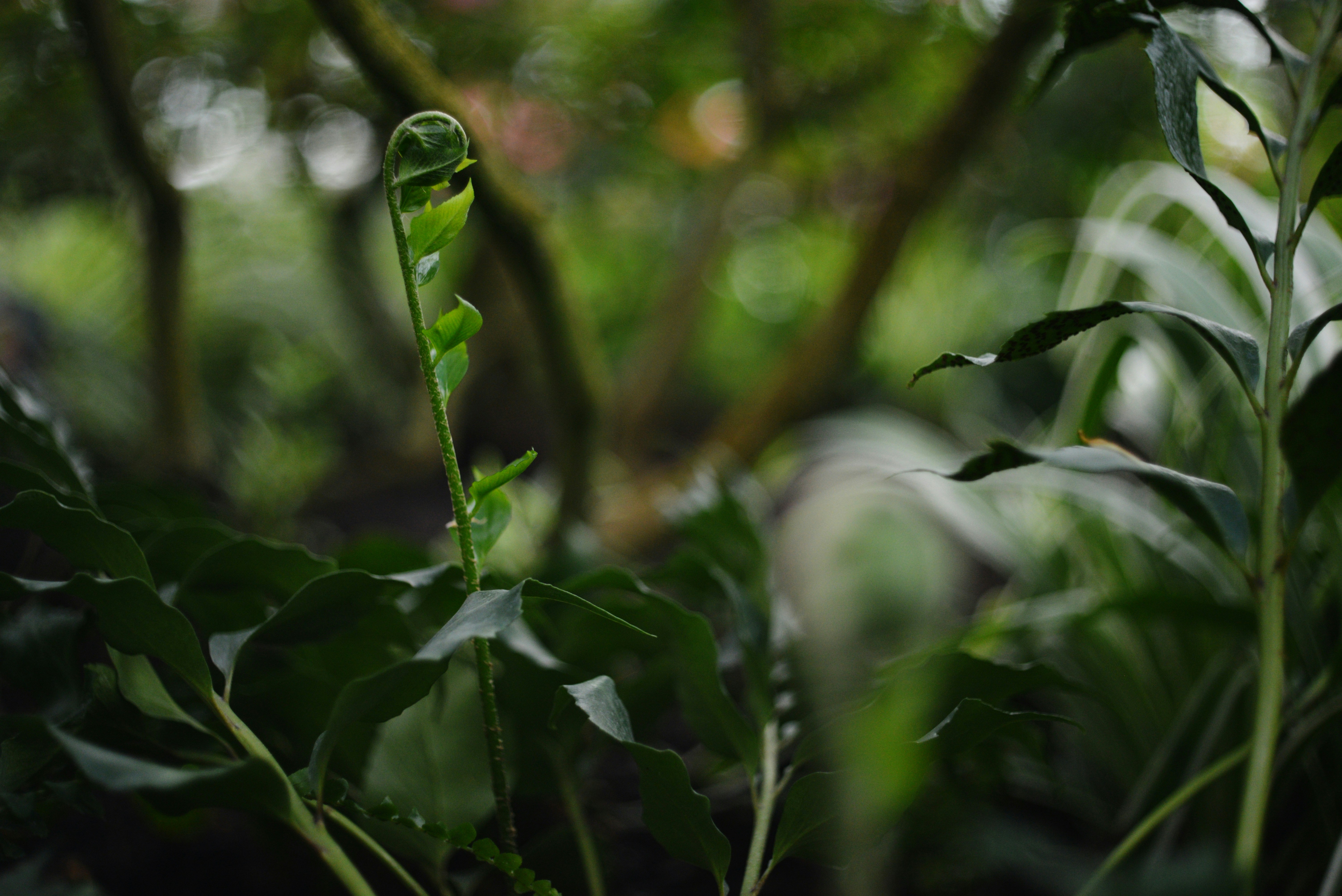 Photo by cherstve_pechivo