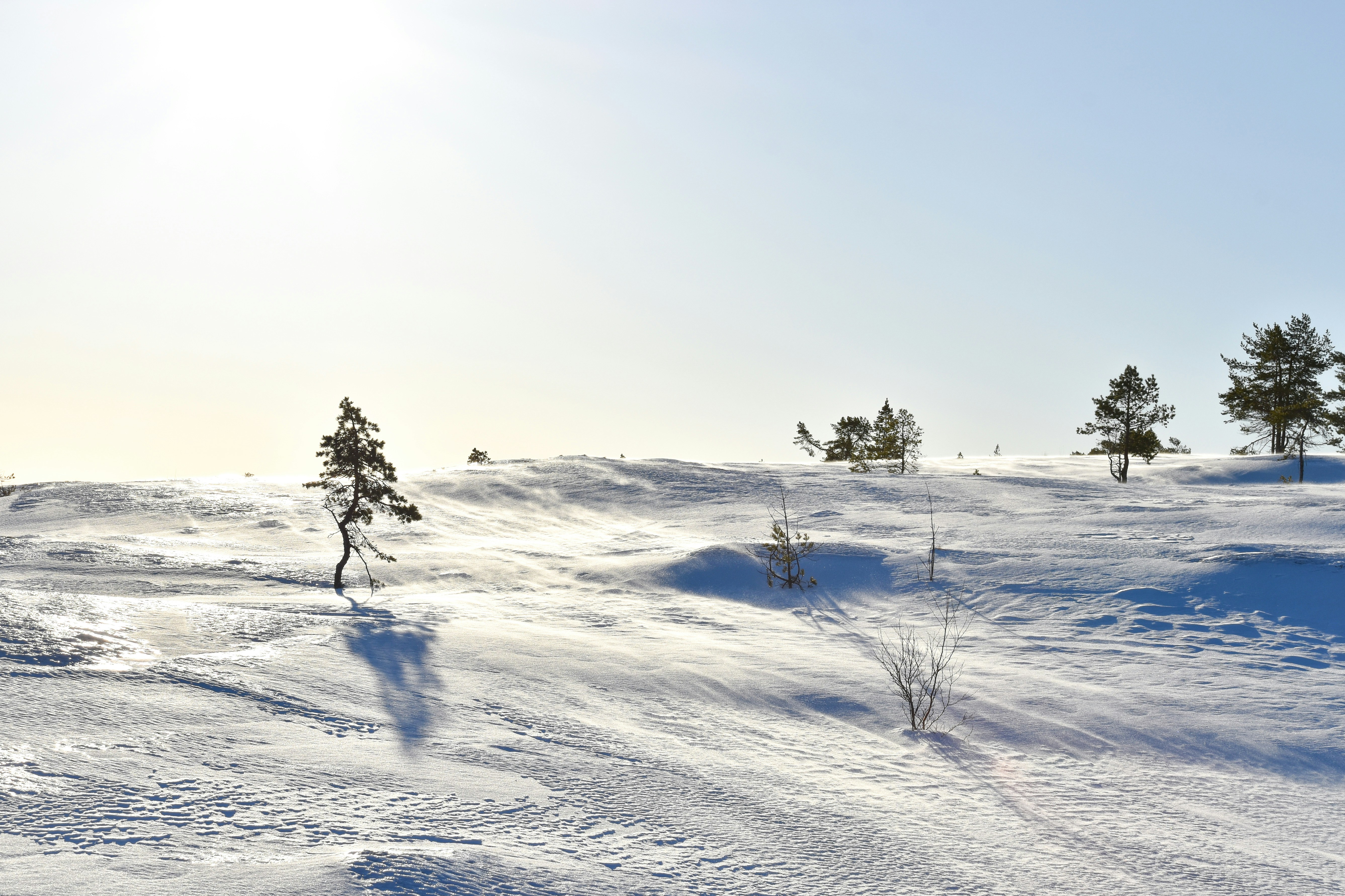 Photo by niklasjonasson