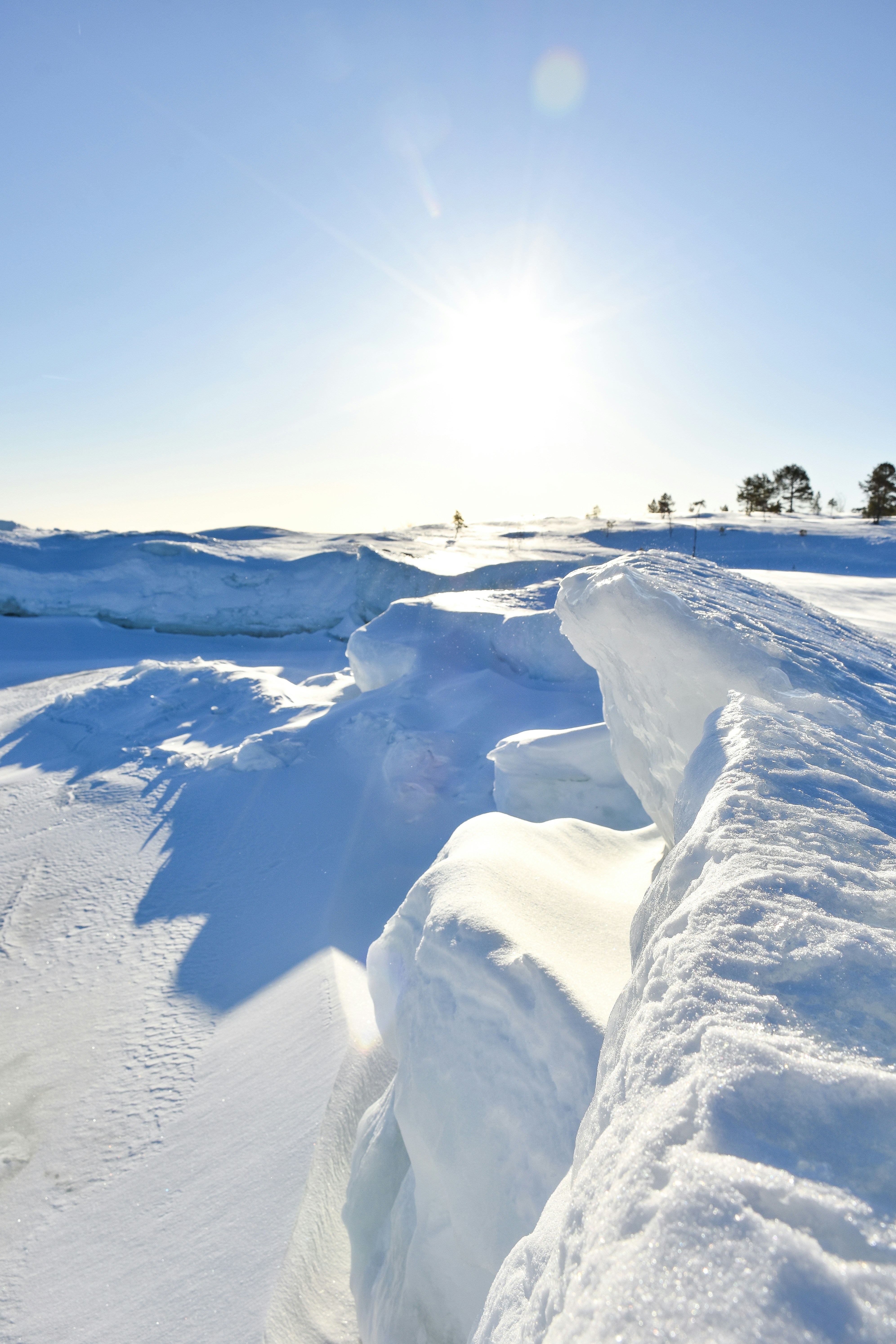 Photo by niklasjonasson