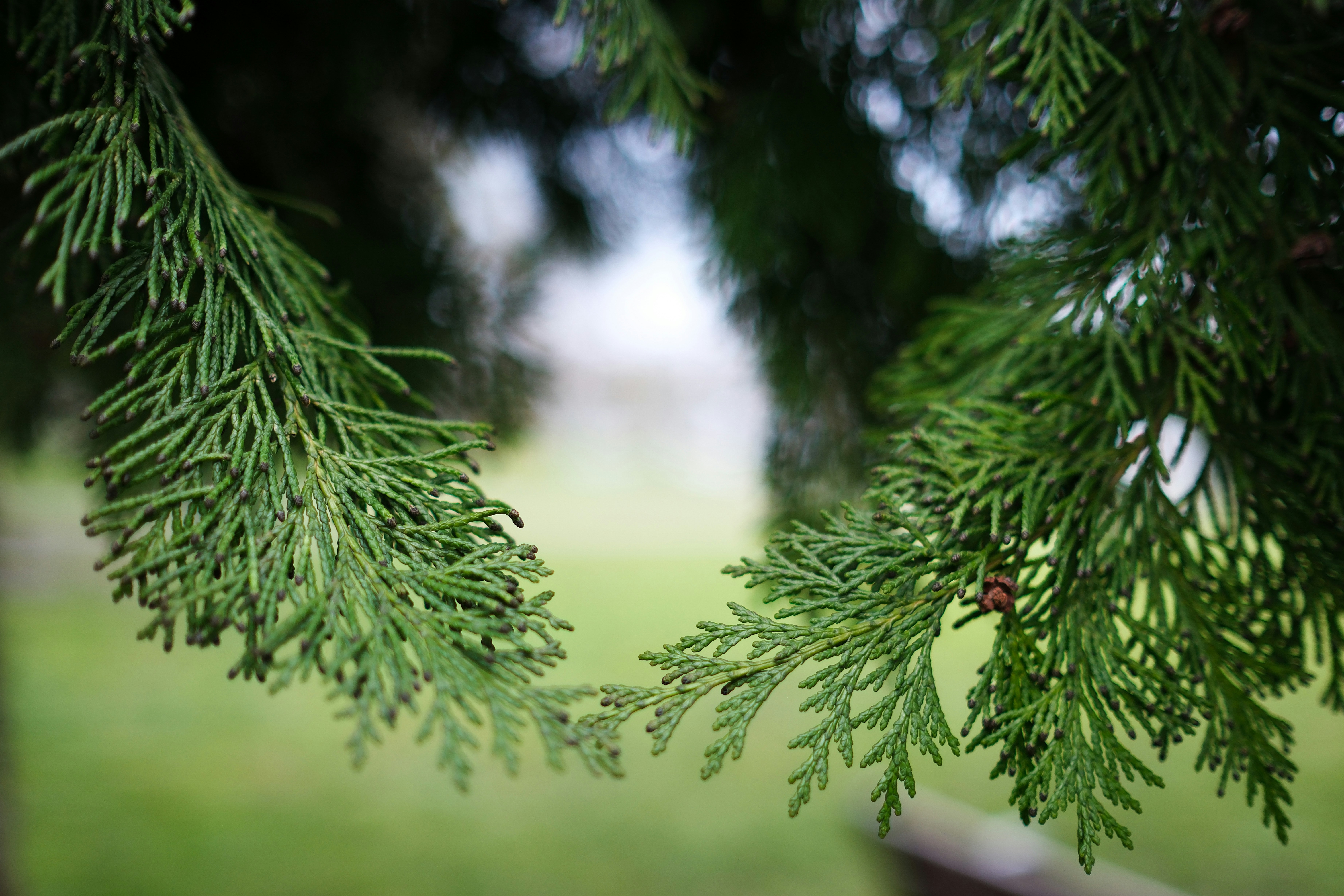 Photo by hiking_corgi