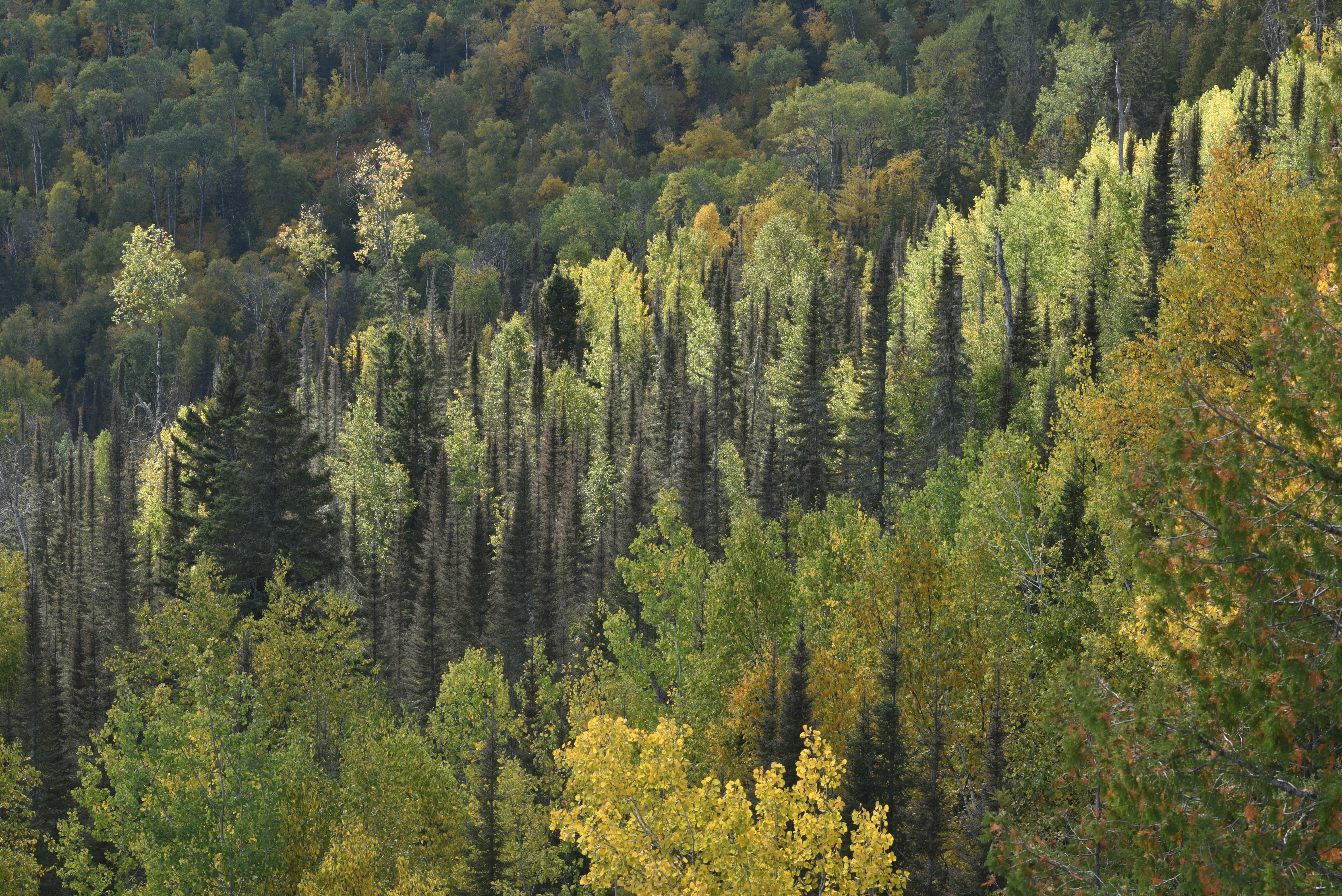 Photo by enlightening_images