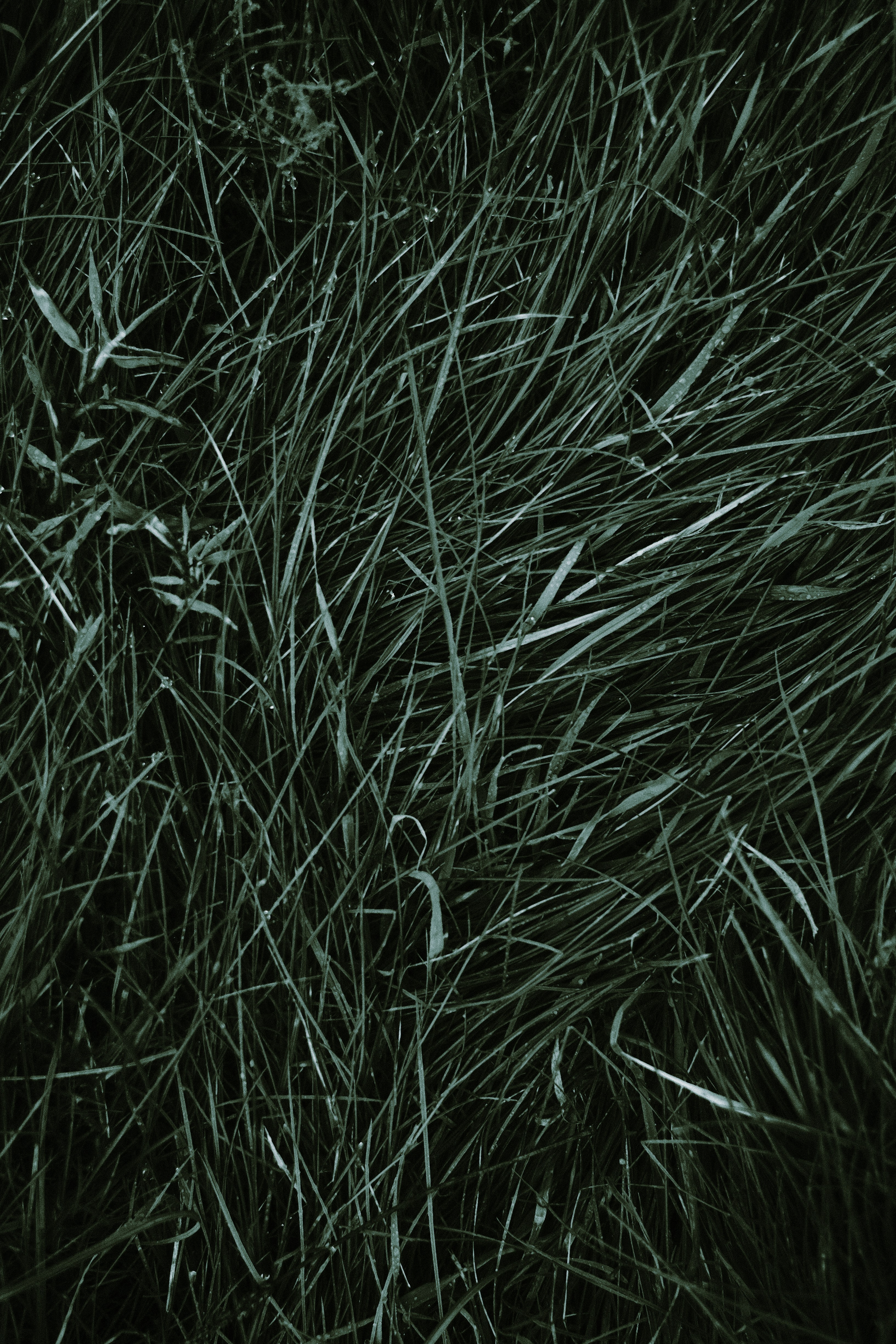 Photo by visualsbying