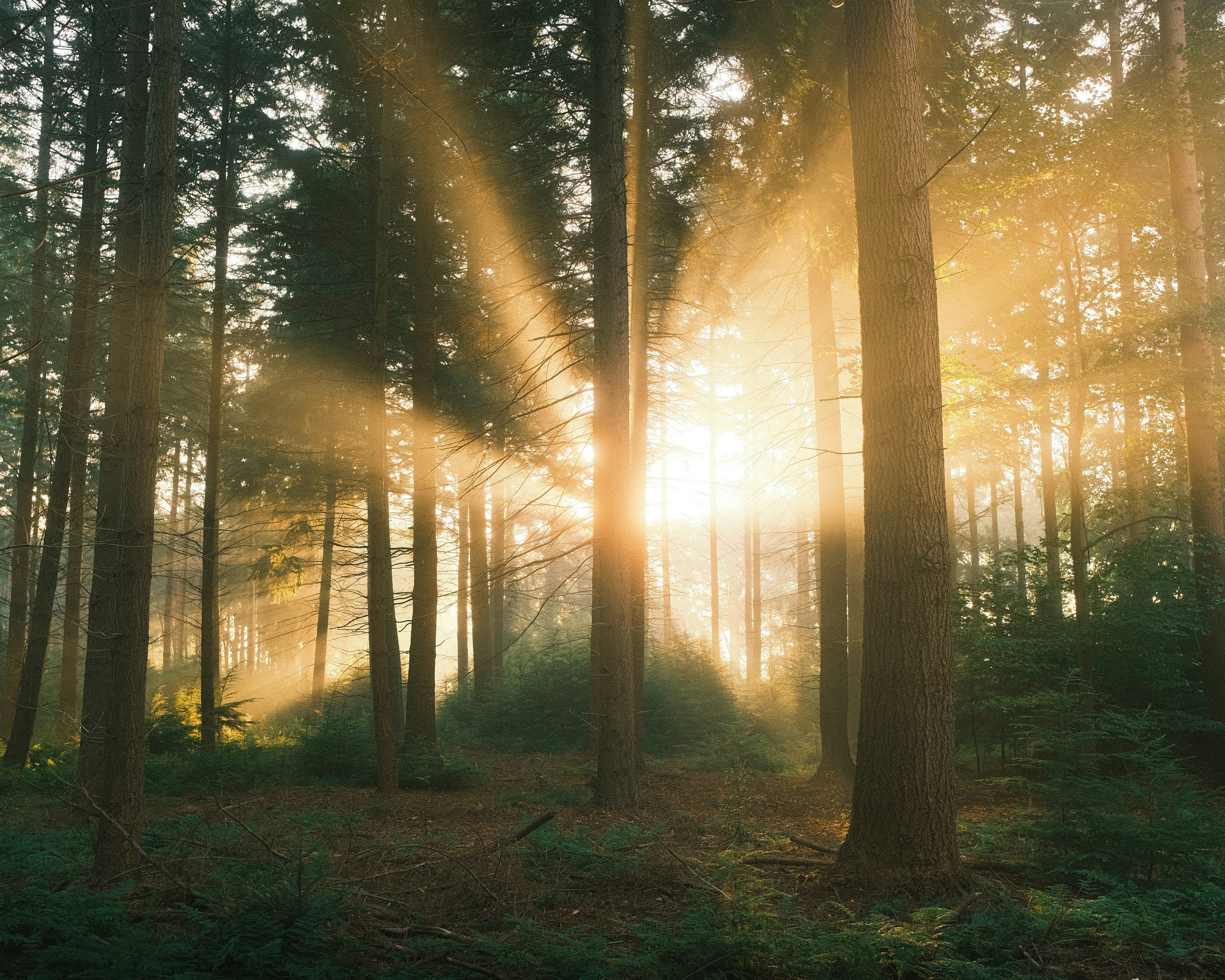 Photo by visualsbying