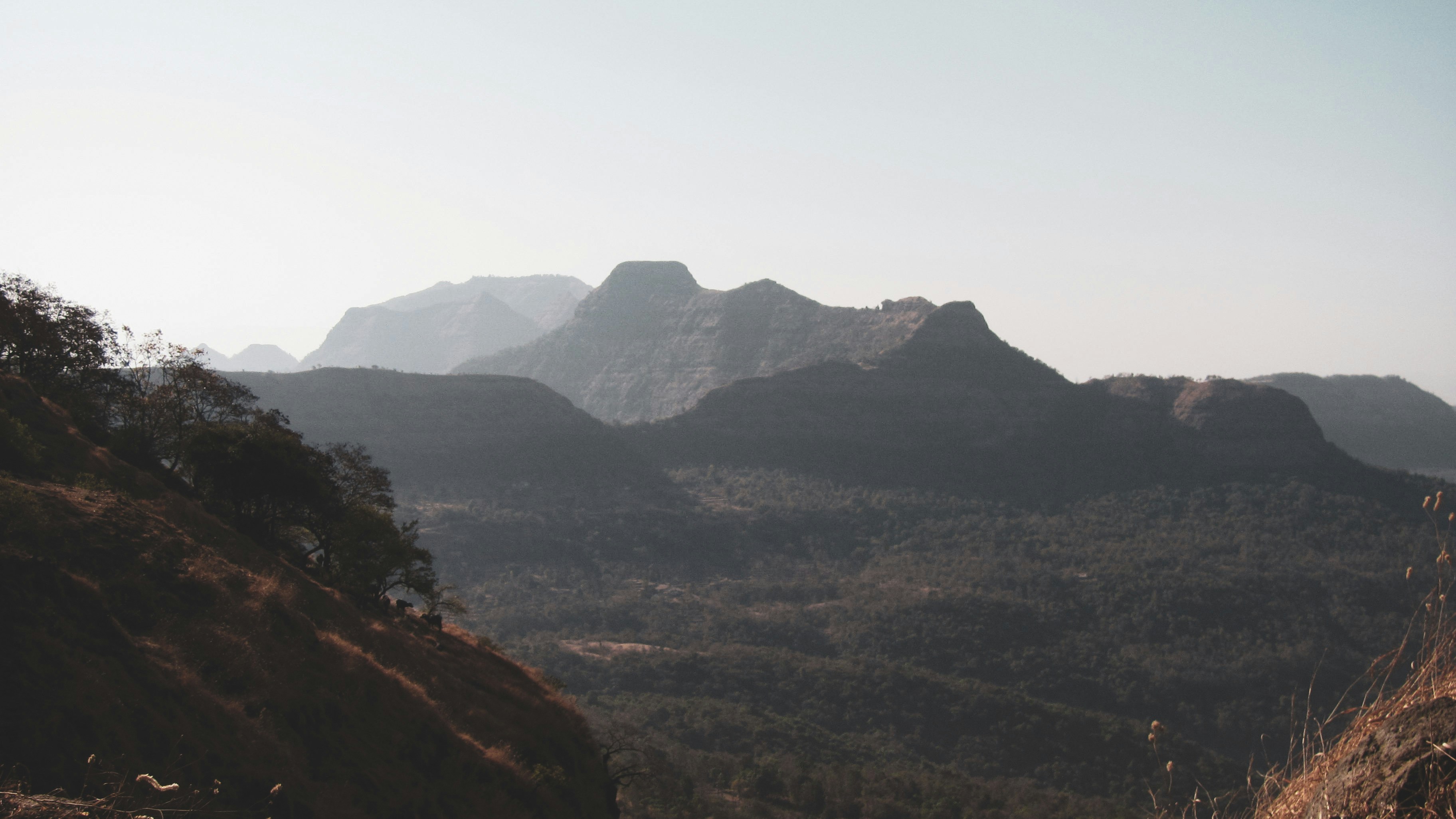 Photo by sanketjawali