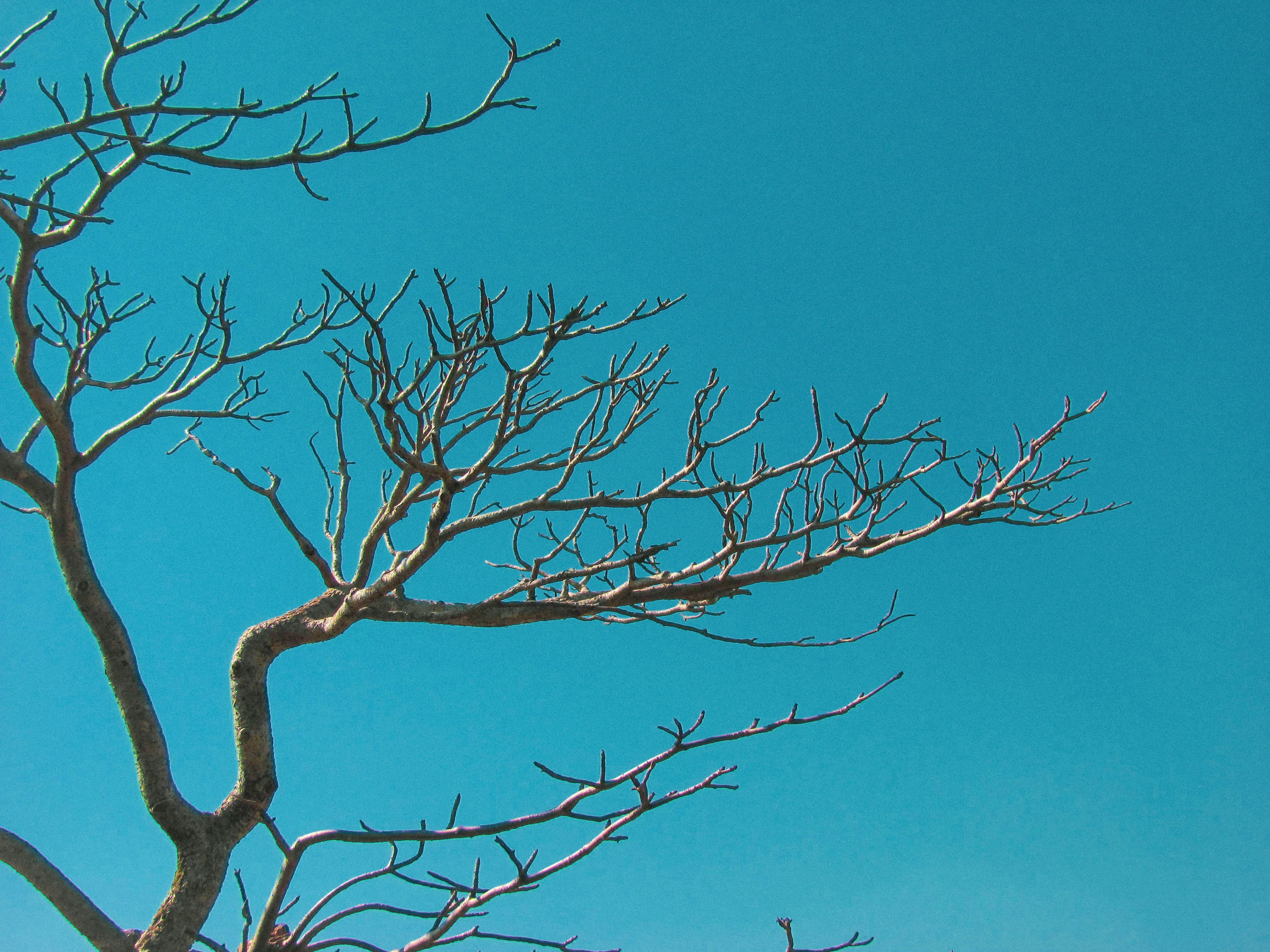 Photo by sanketjawali