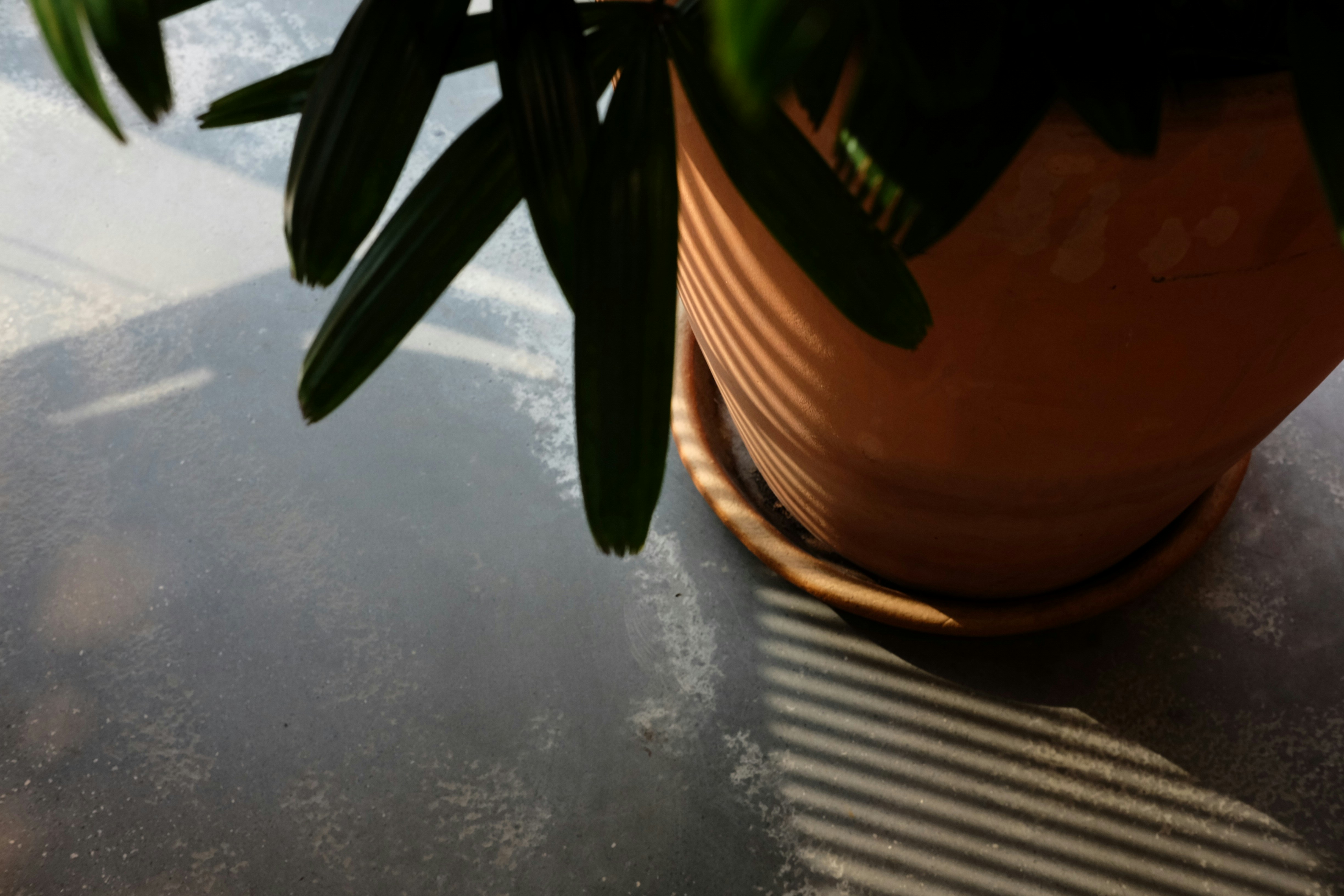 Photo by trancuongkhtn