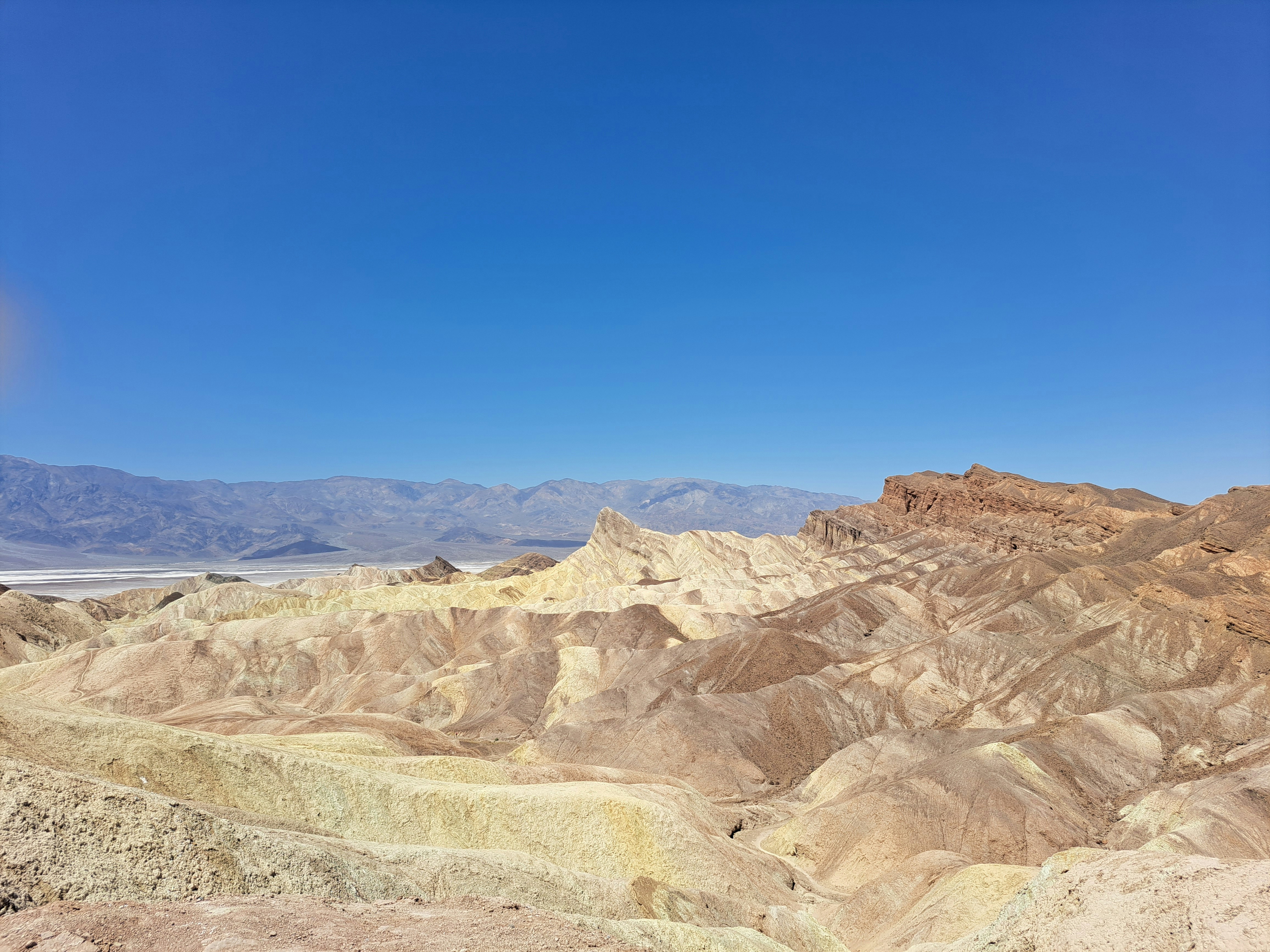 Photo by enorazelcer