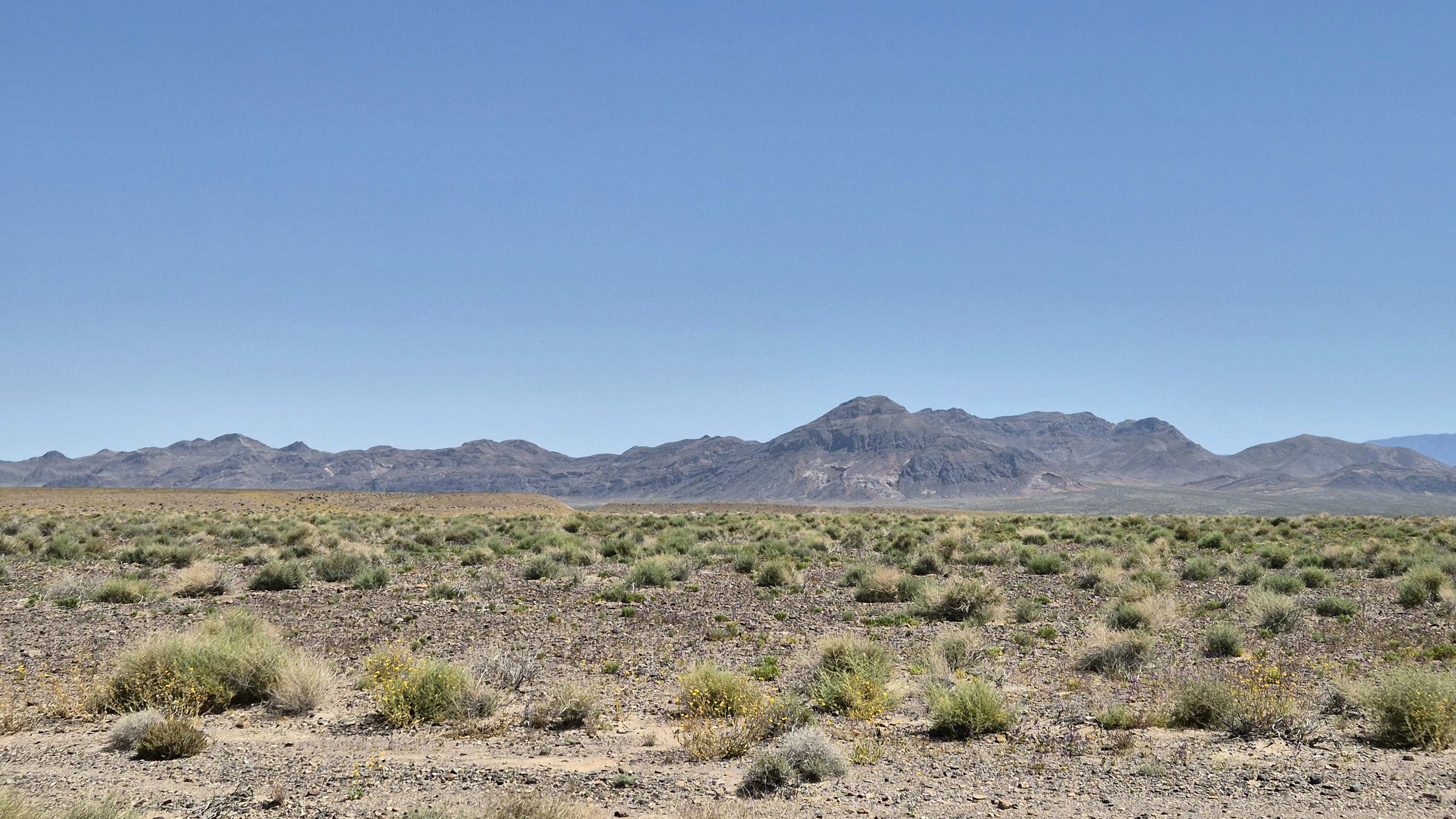 Photo by enorazelcer