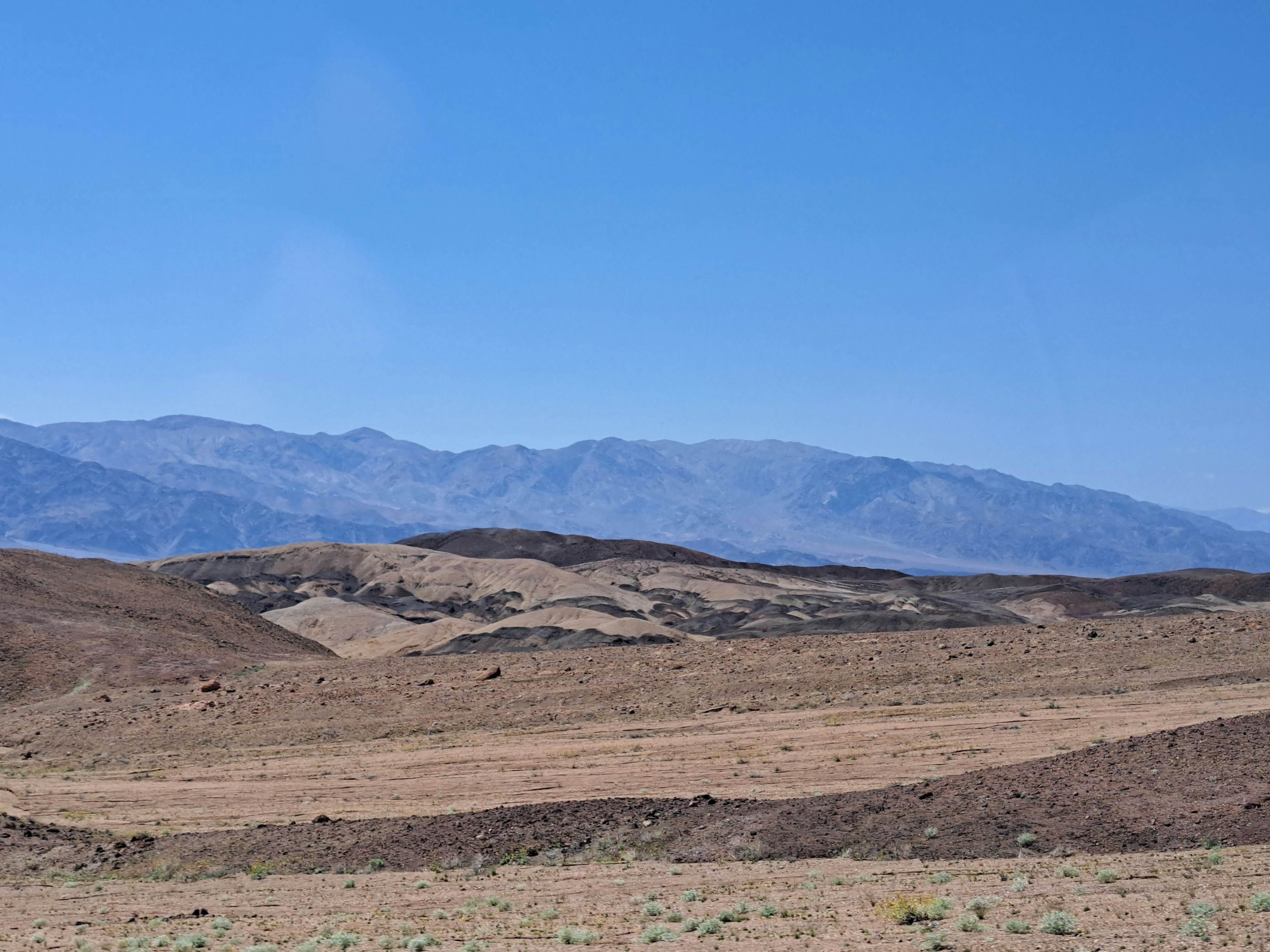 Photo by enorazelcer