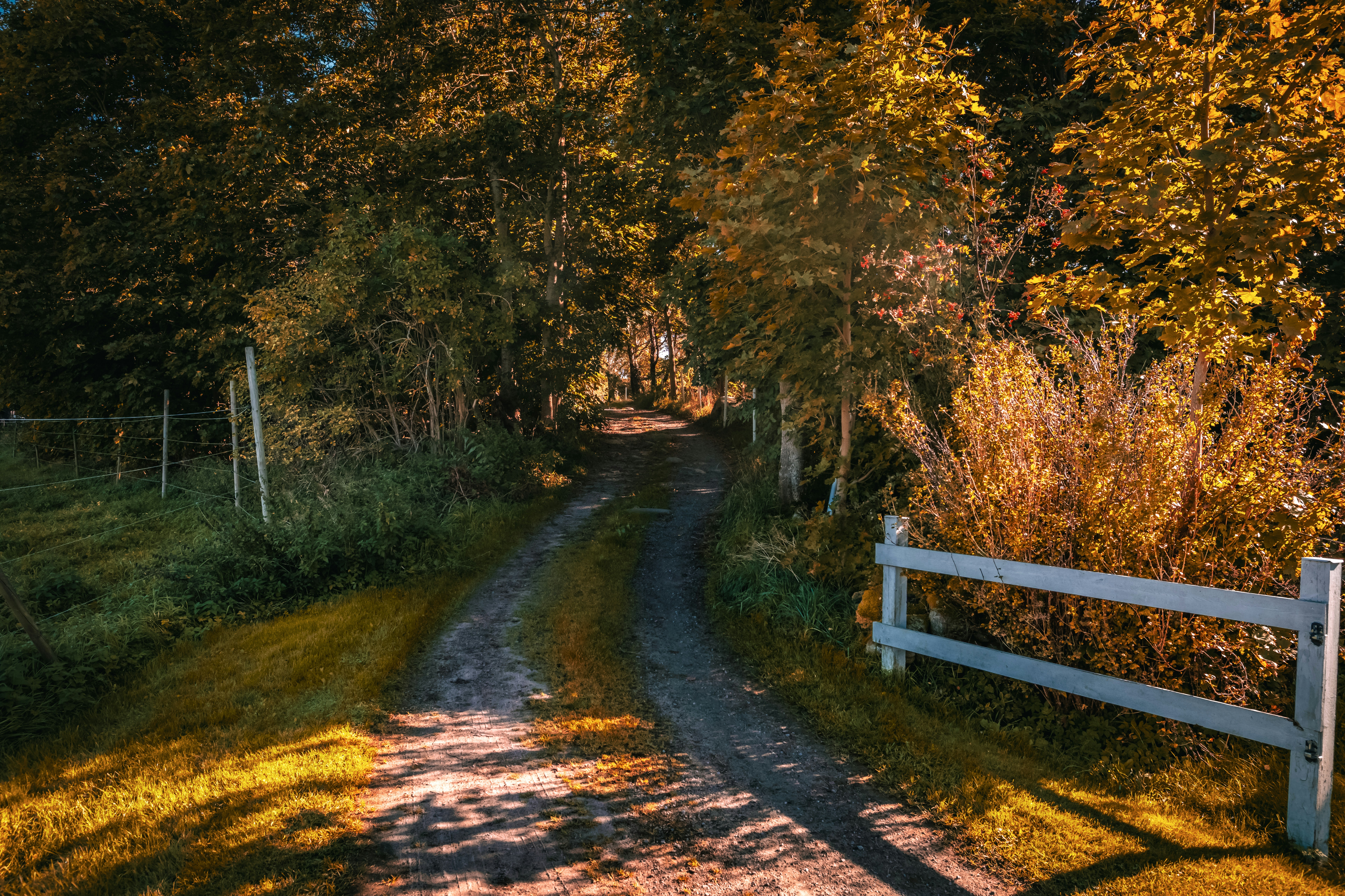 Photo by simonbromander