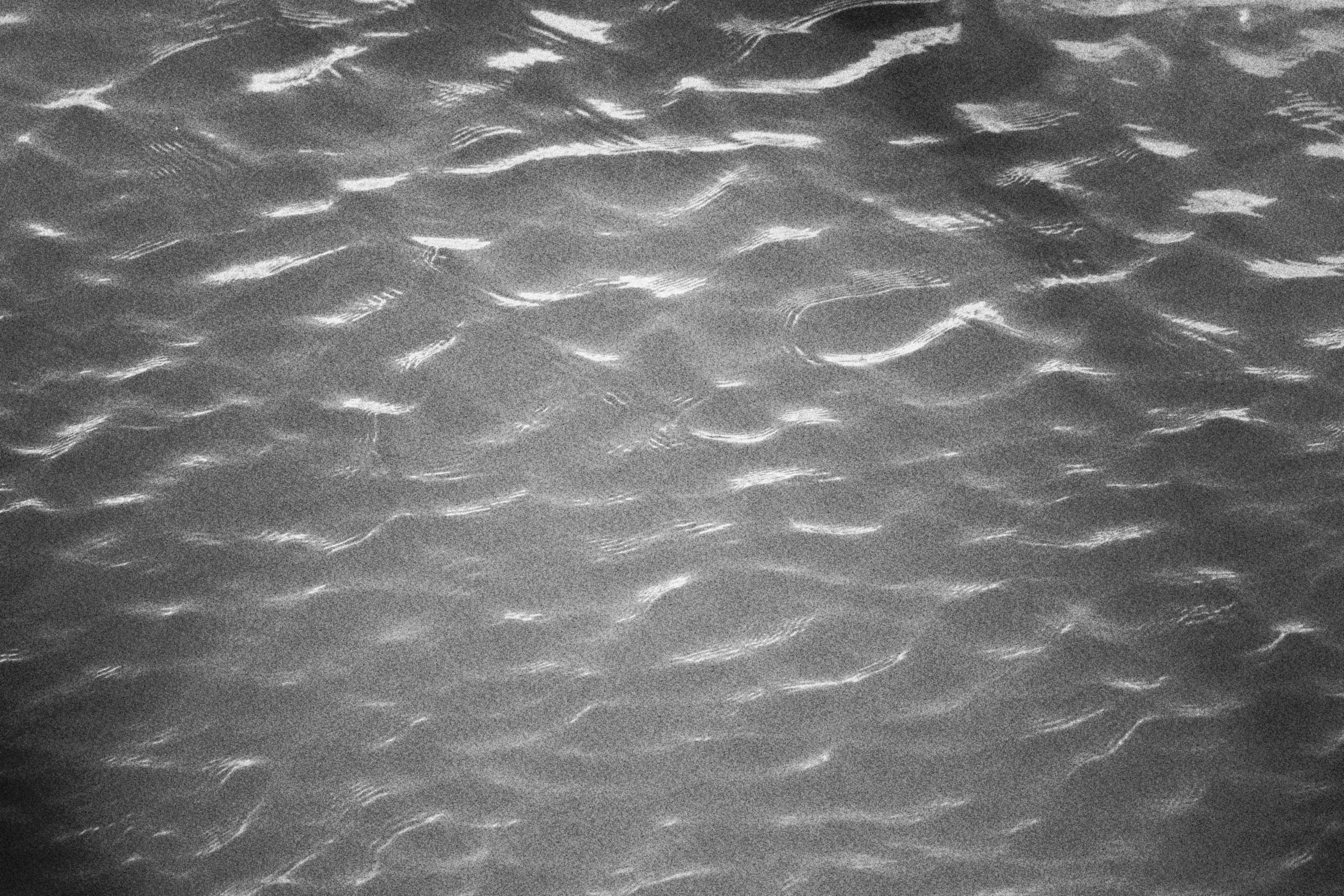 Photo by carolinagrants