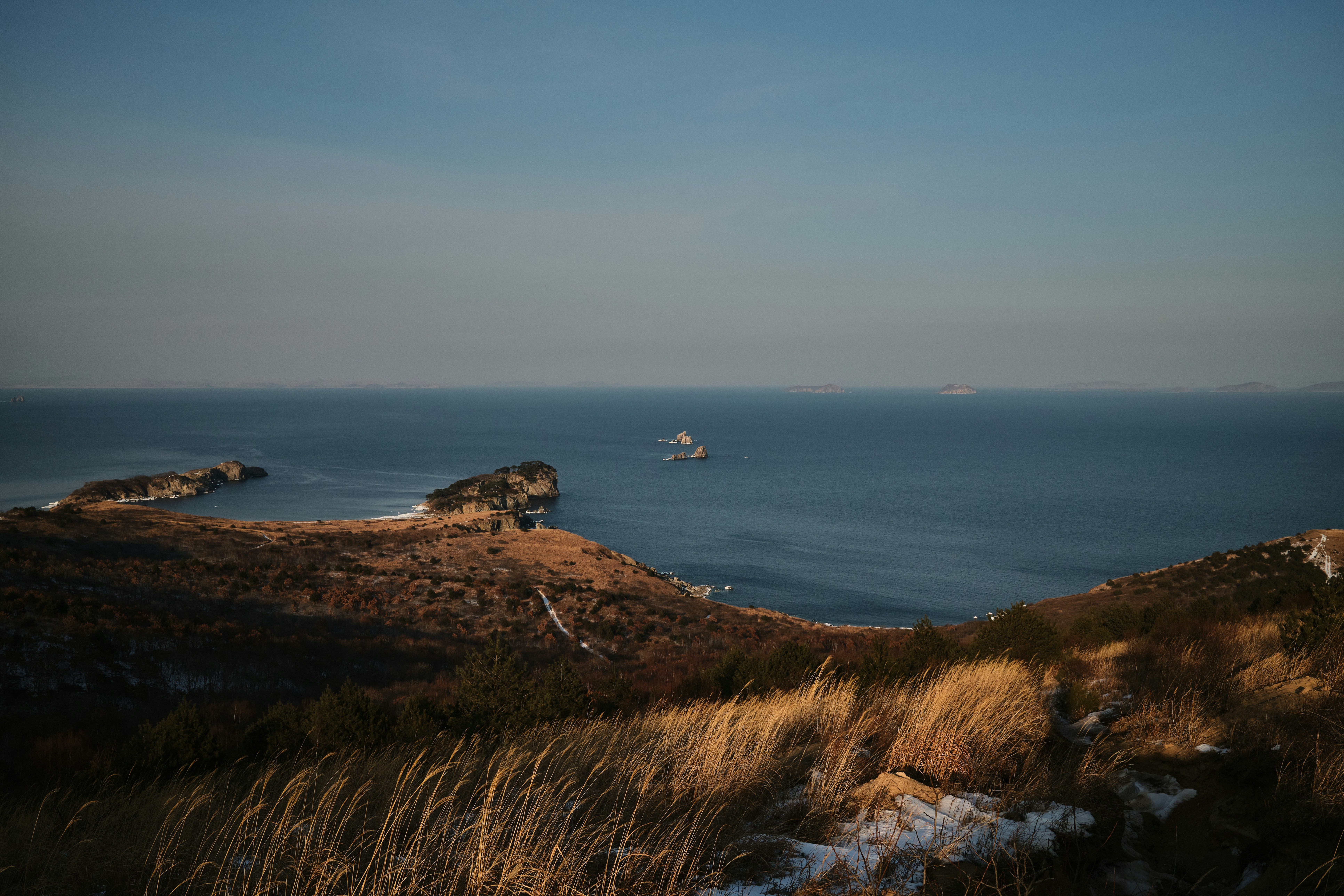 Photo by alekhinsasha