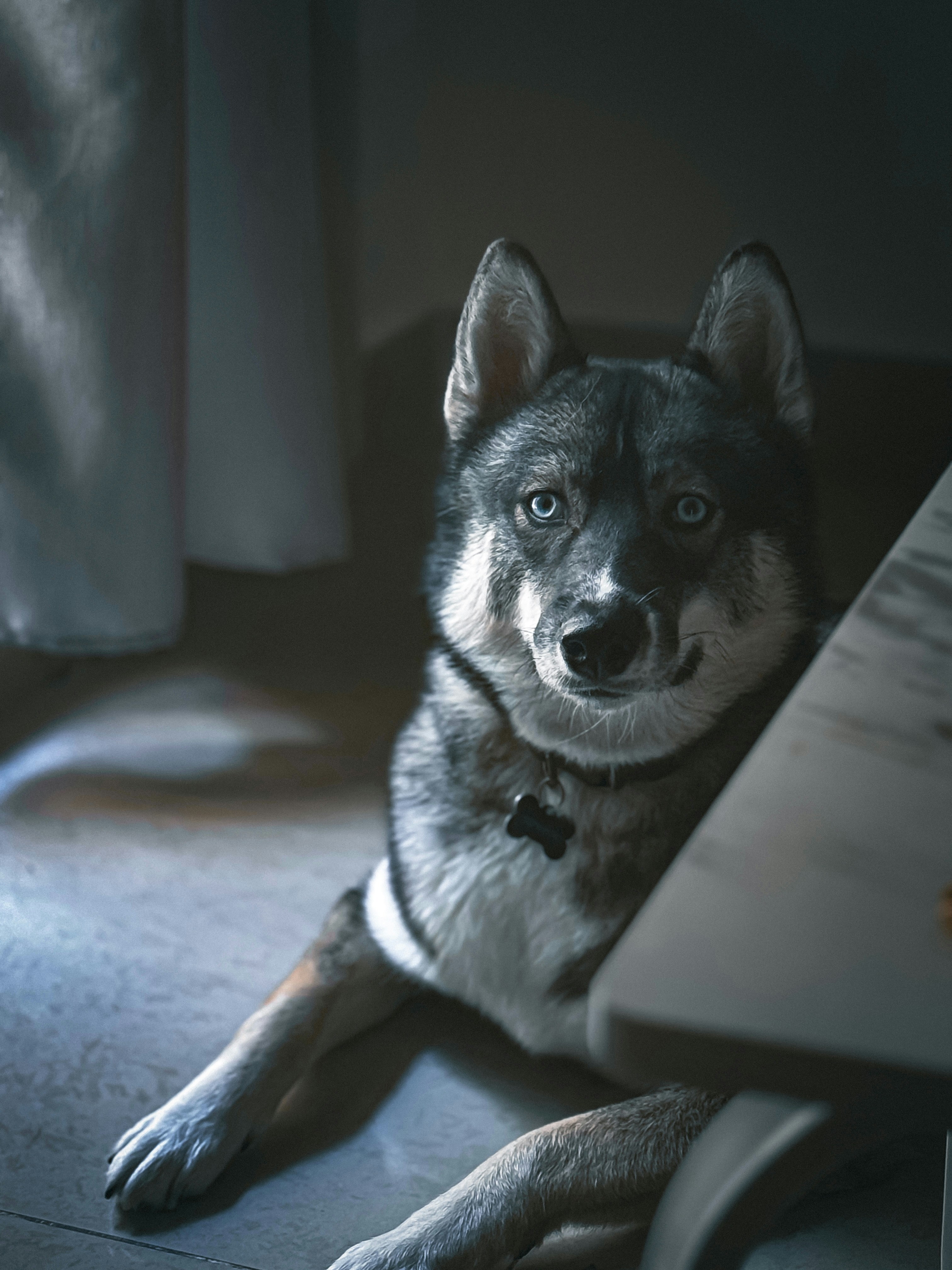 Photo by mister_nimal