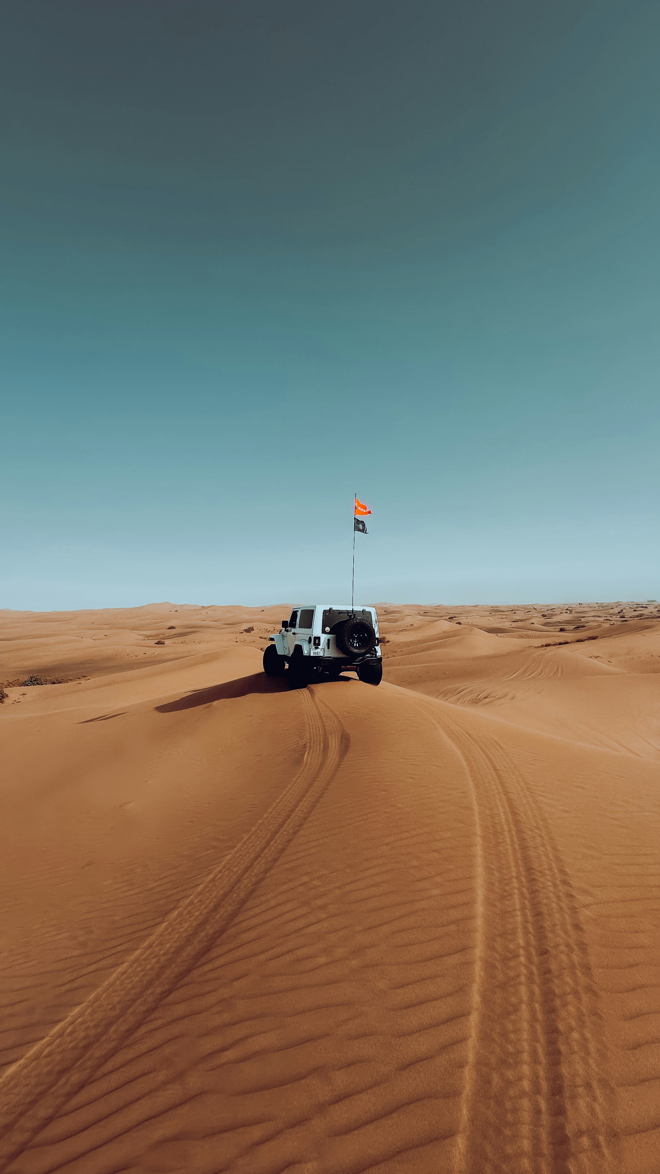 Photo by mister_nimal