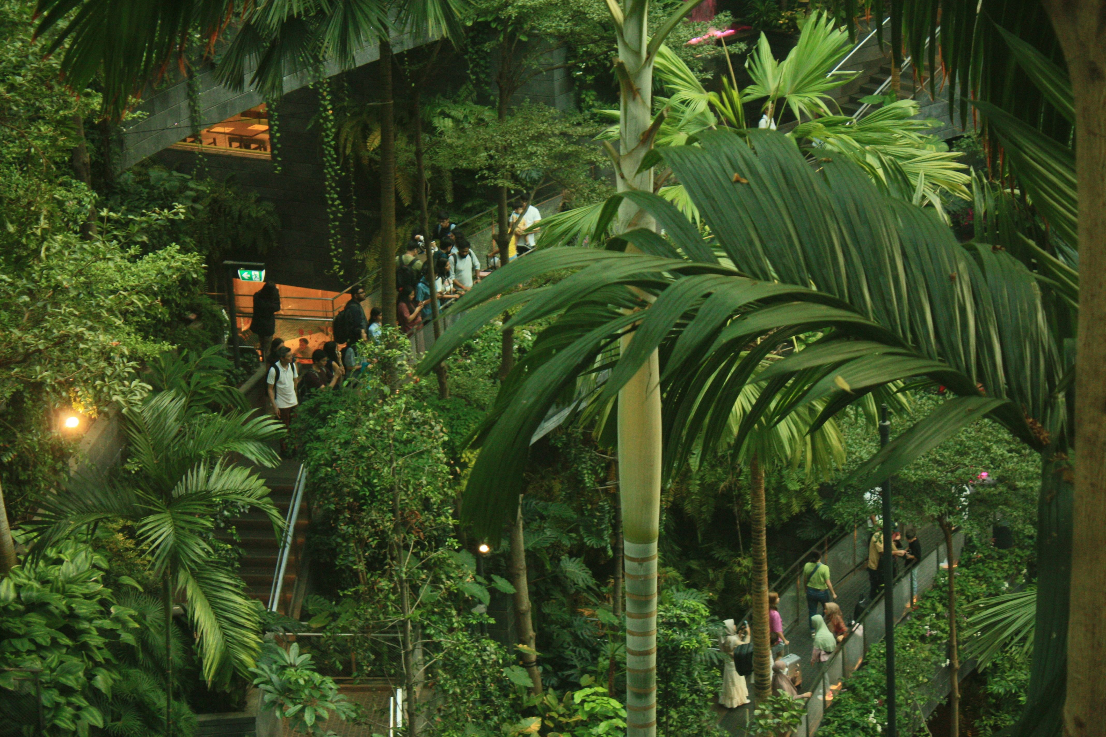 A group of people walking up a set of stairs