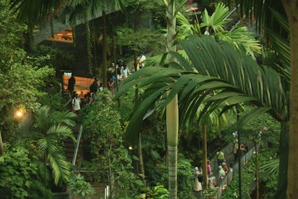 A group of people walking up a set of stairs