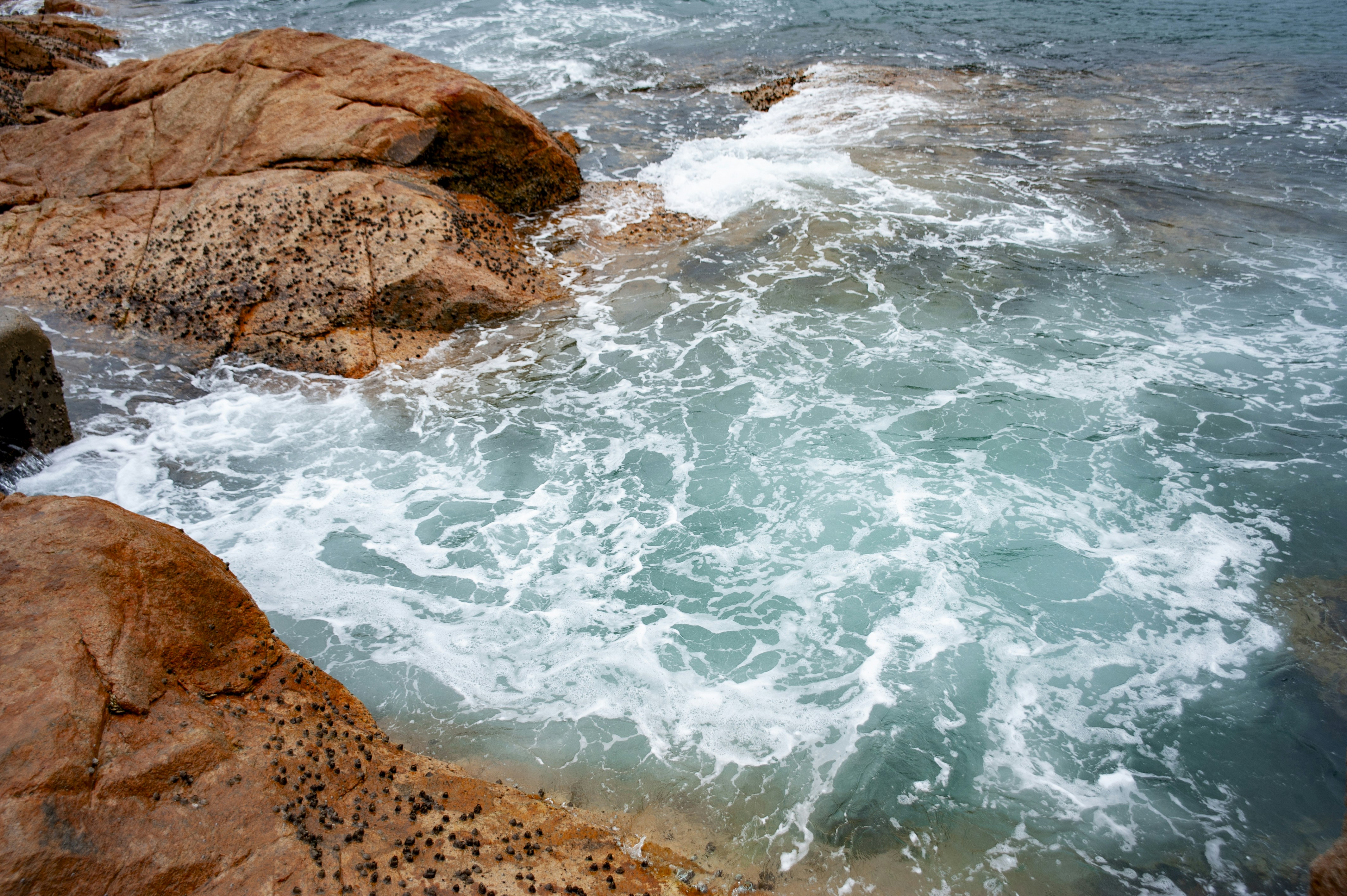 Photo by kevinwang413156