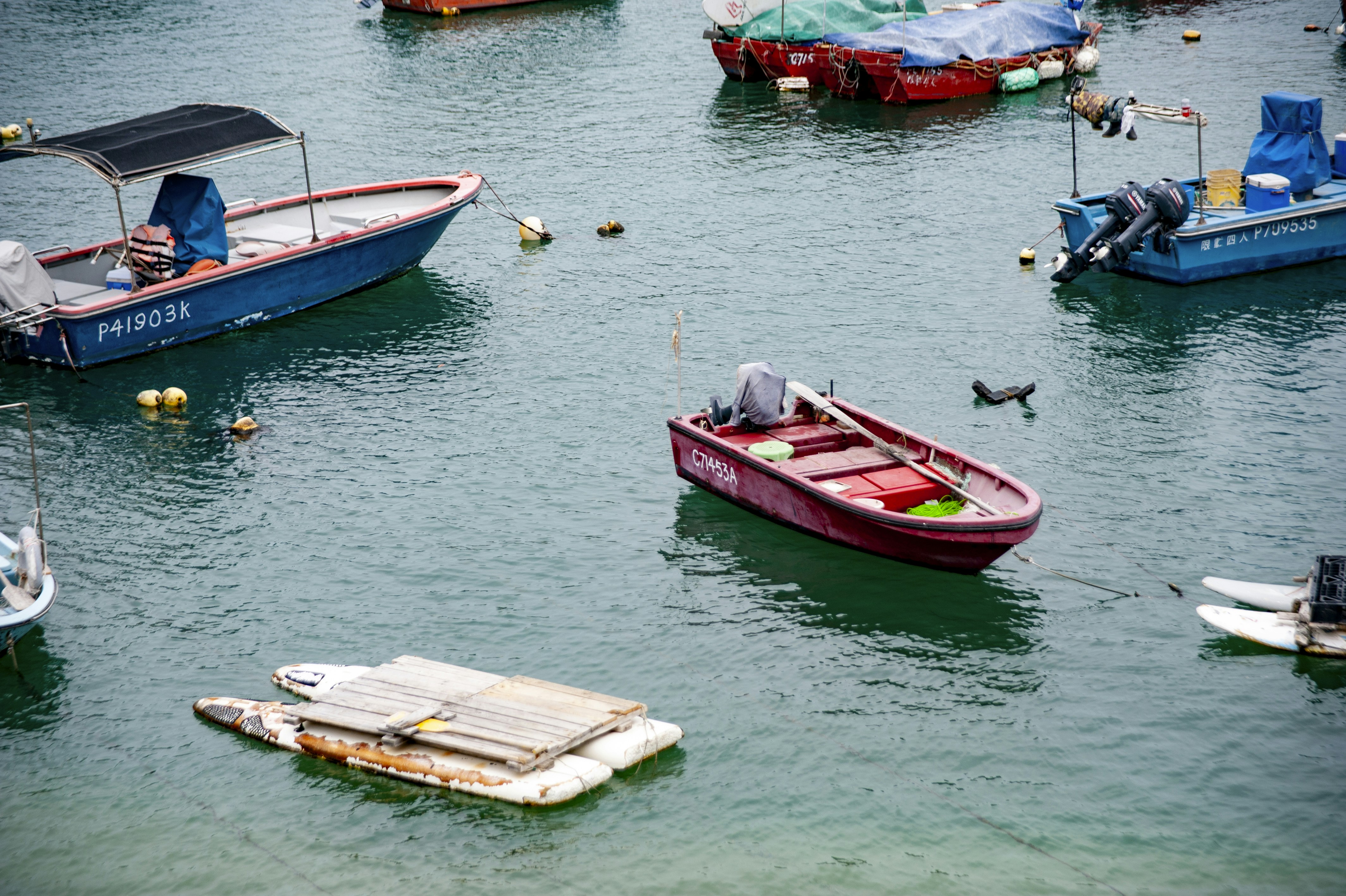 Photo by kevinwang413156