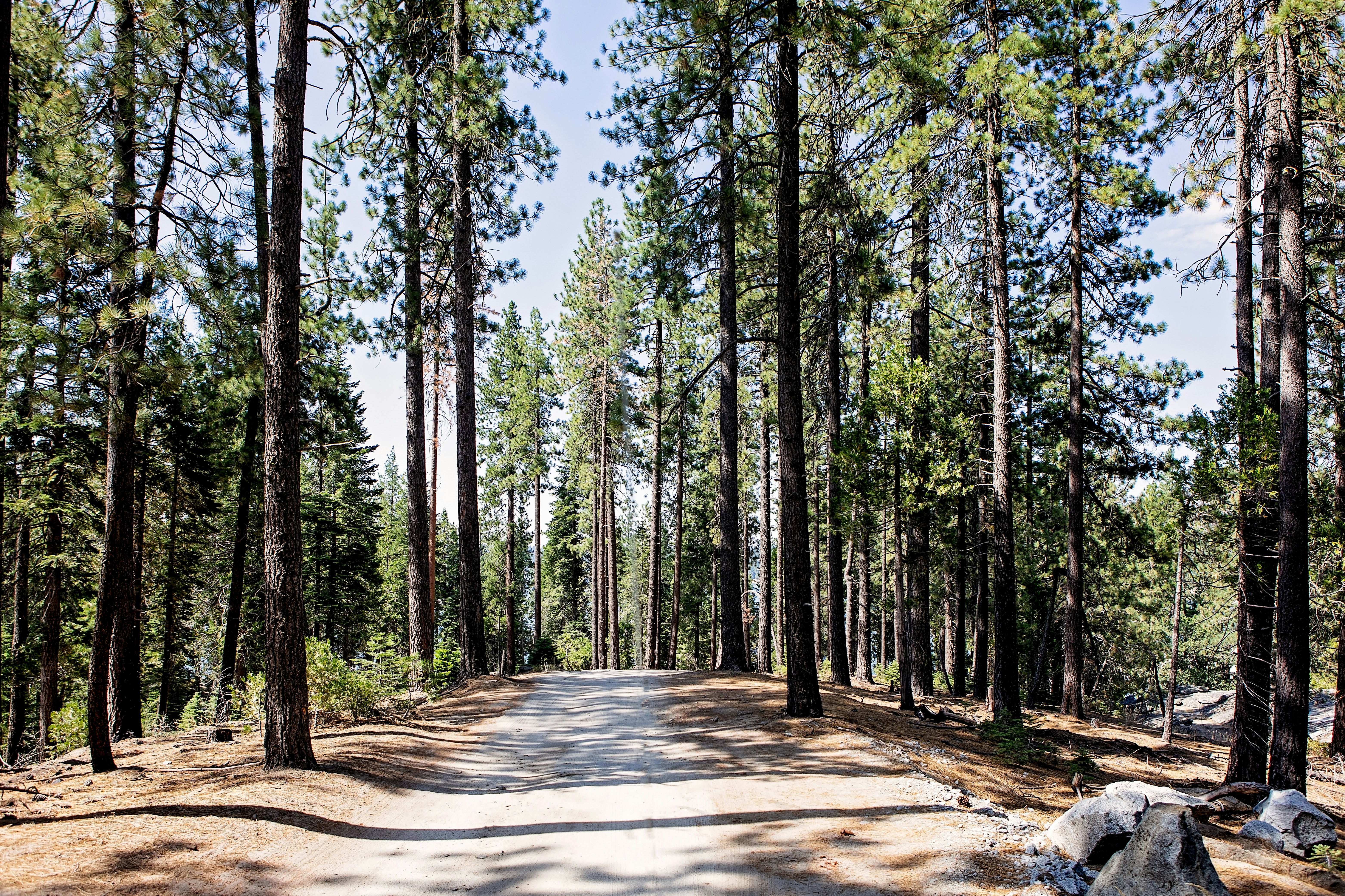 Photo by sixteenmilesout