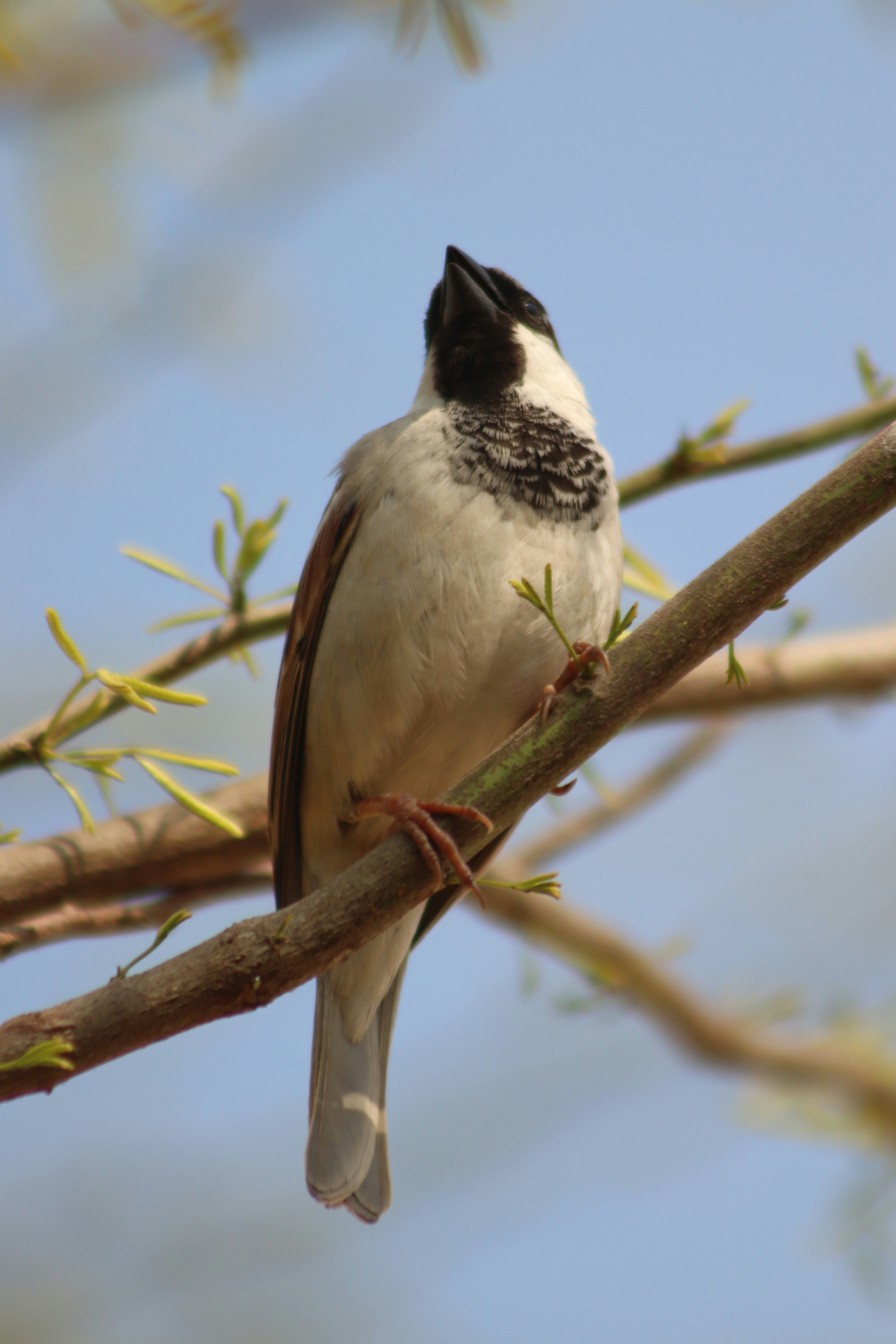 Photo by drphotographer152