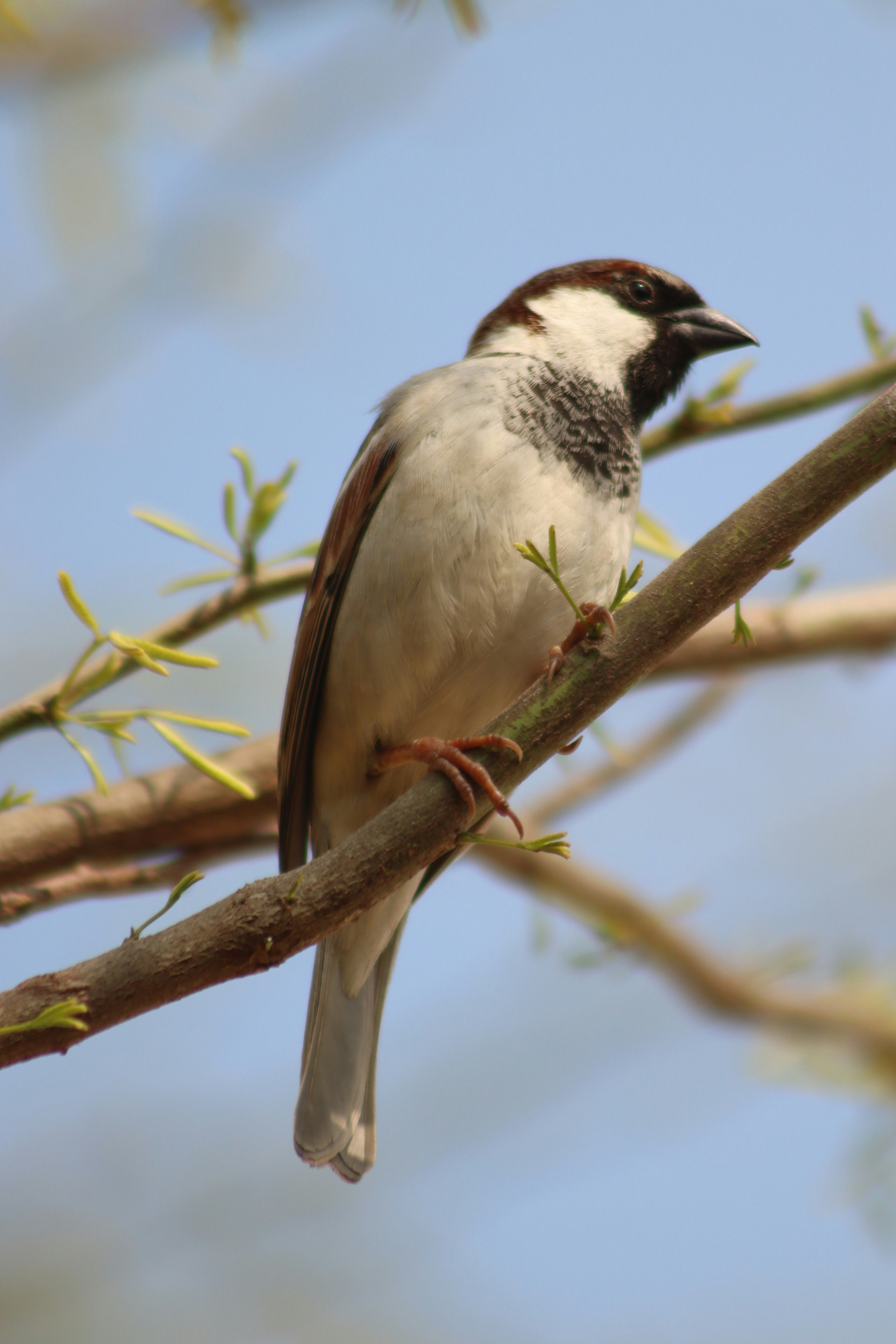 Photo by drphotographer152