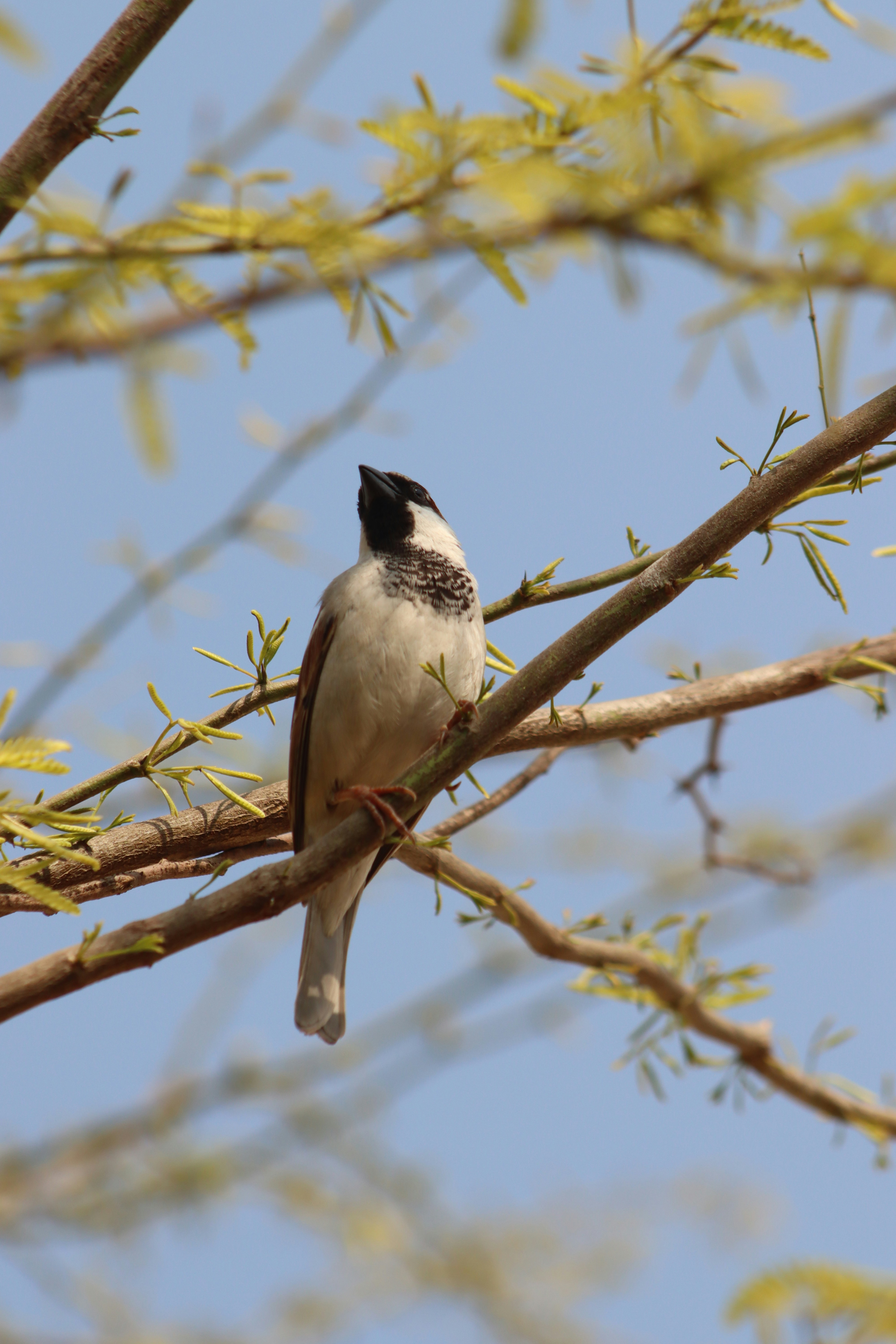 Photo by drphotographer152