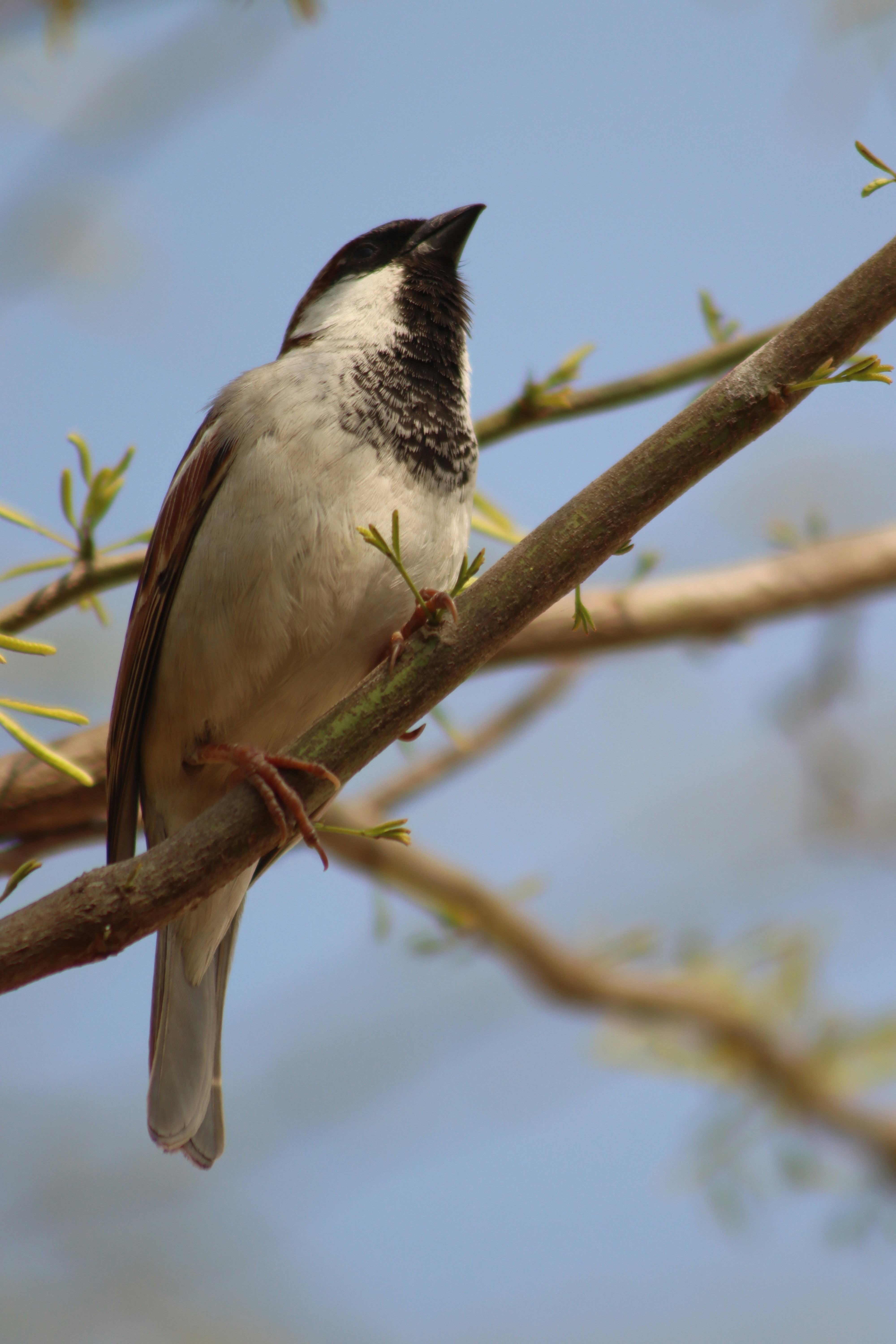 Photo by drphotographer152