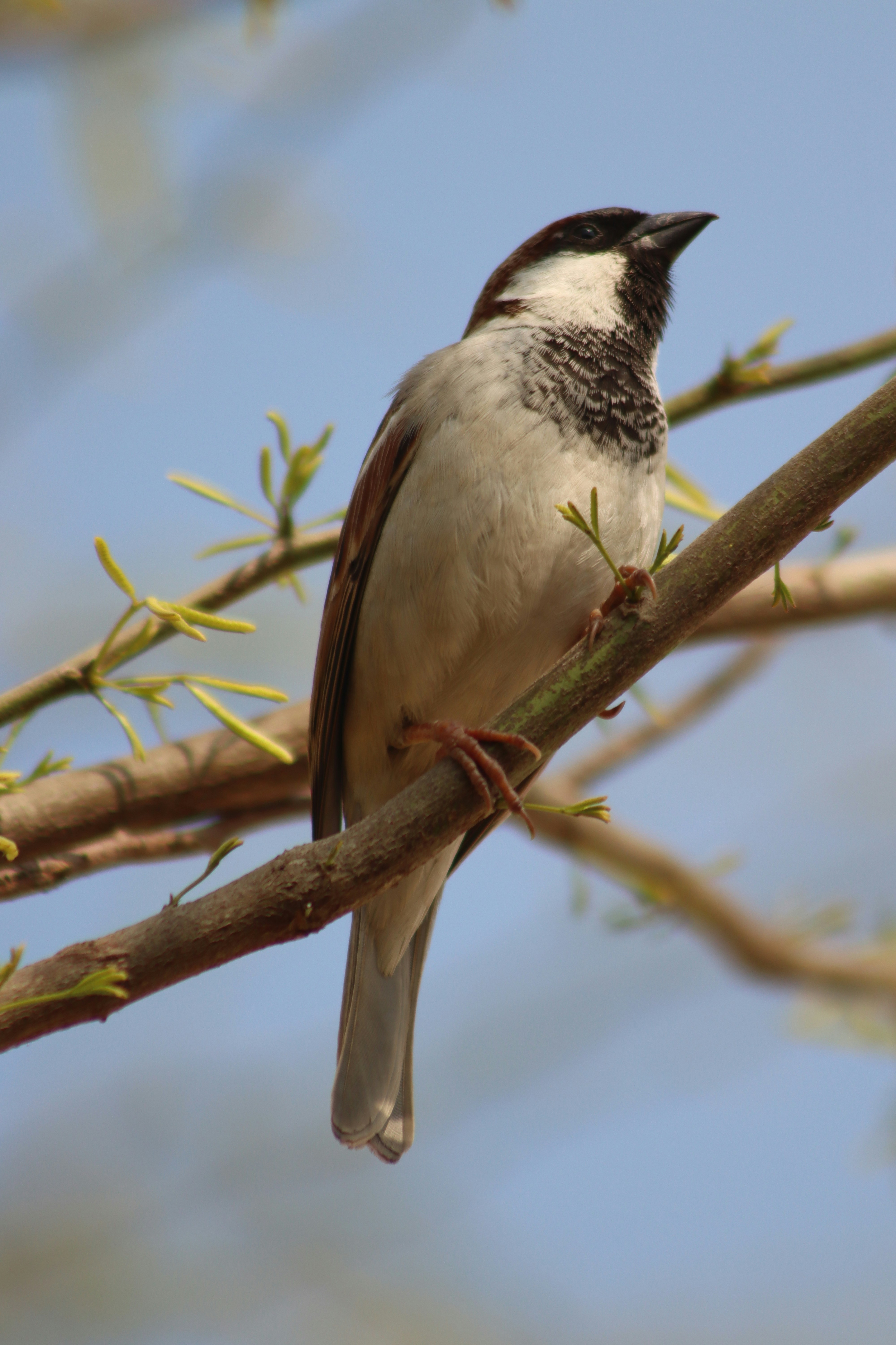 Photo by drphotographer152