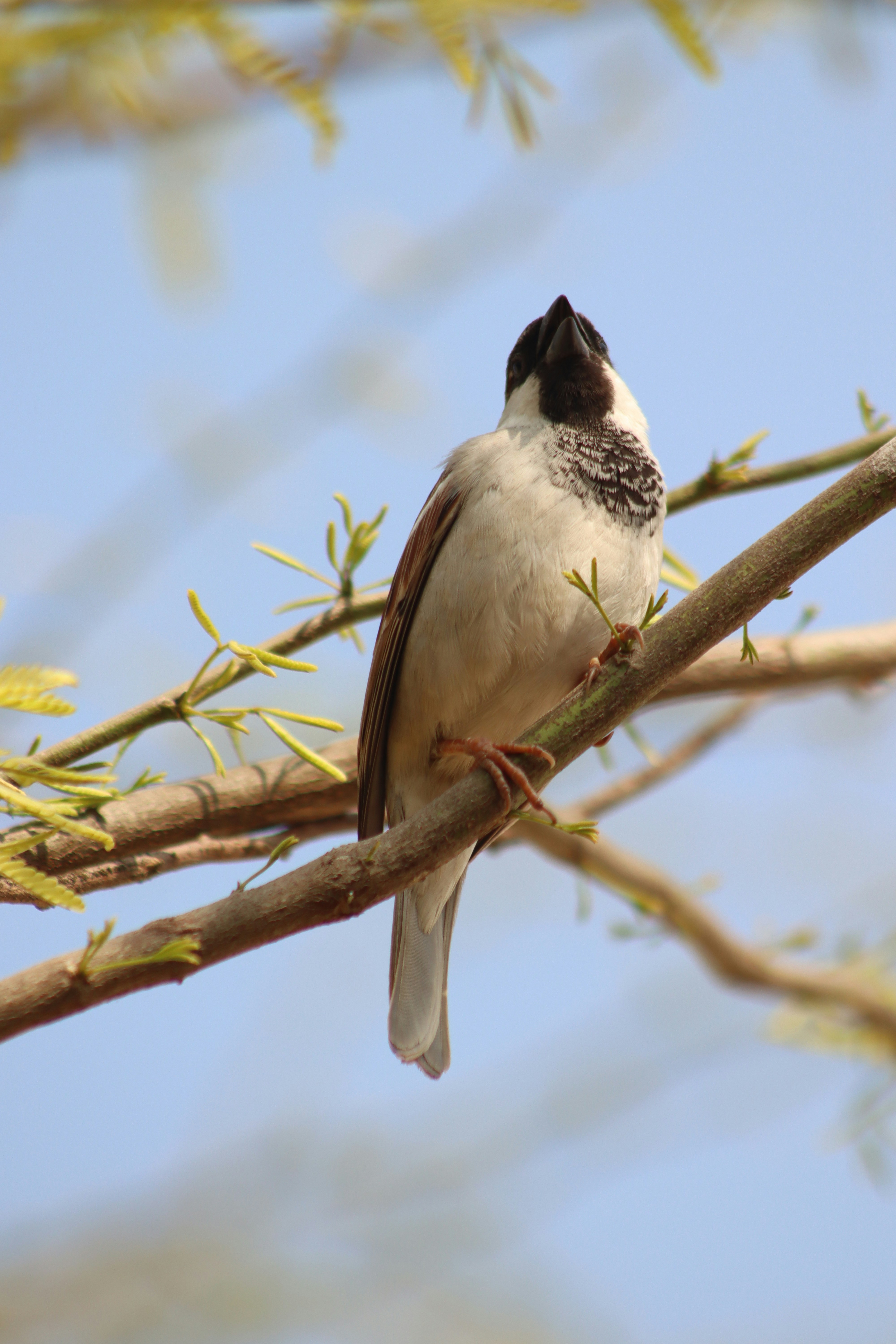 Photo by drphotographer152