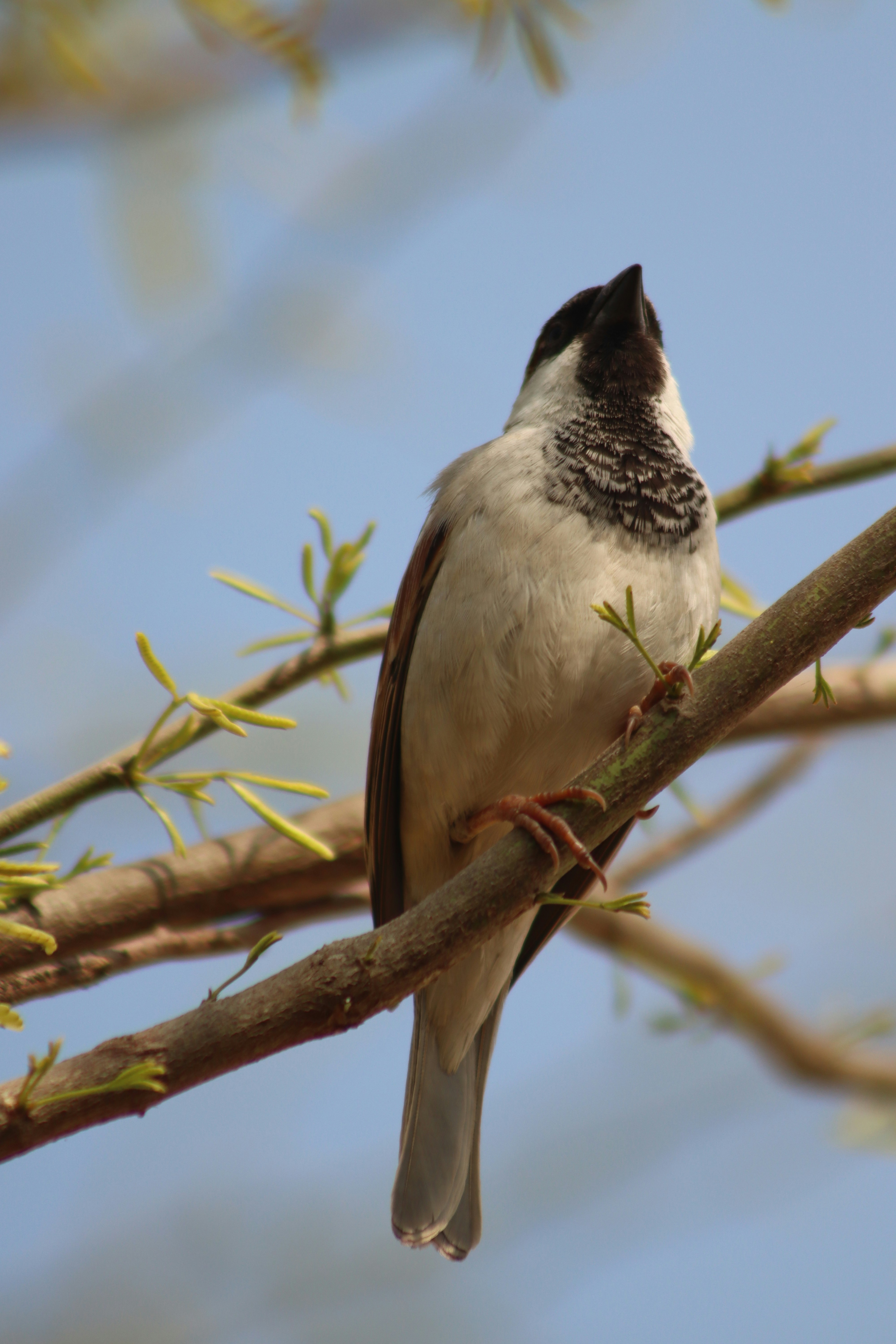 Photo by drphotographer152