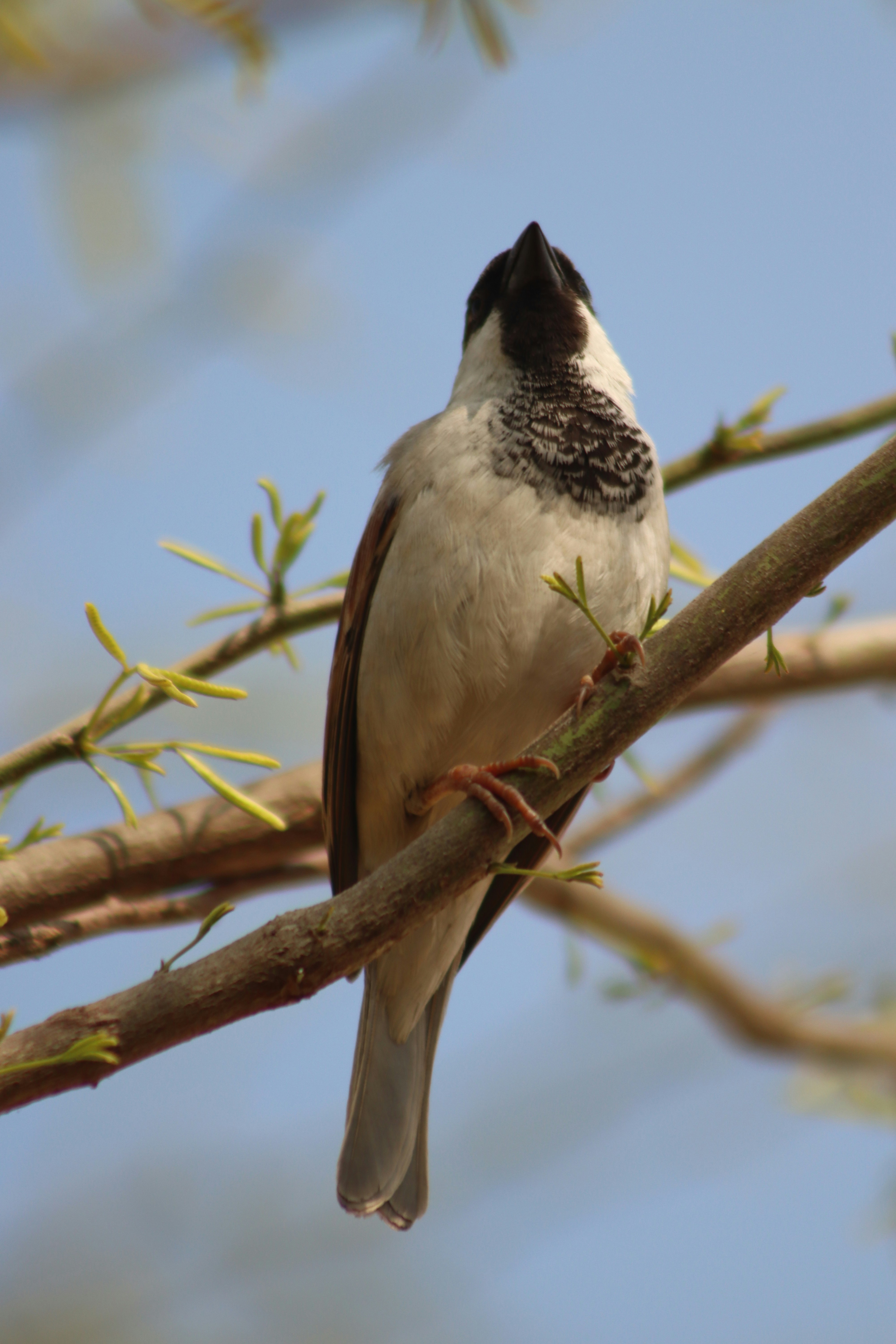 Photo by drphotographer152