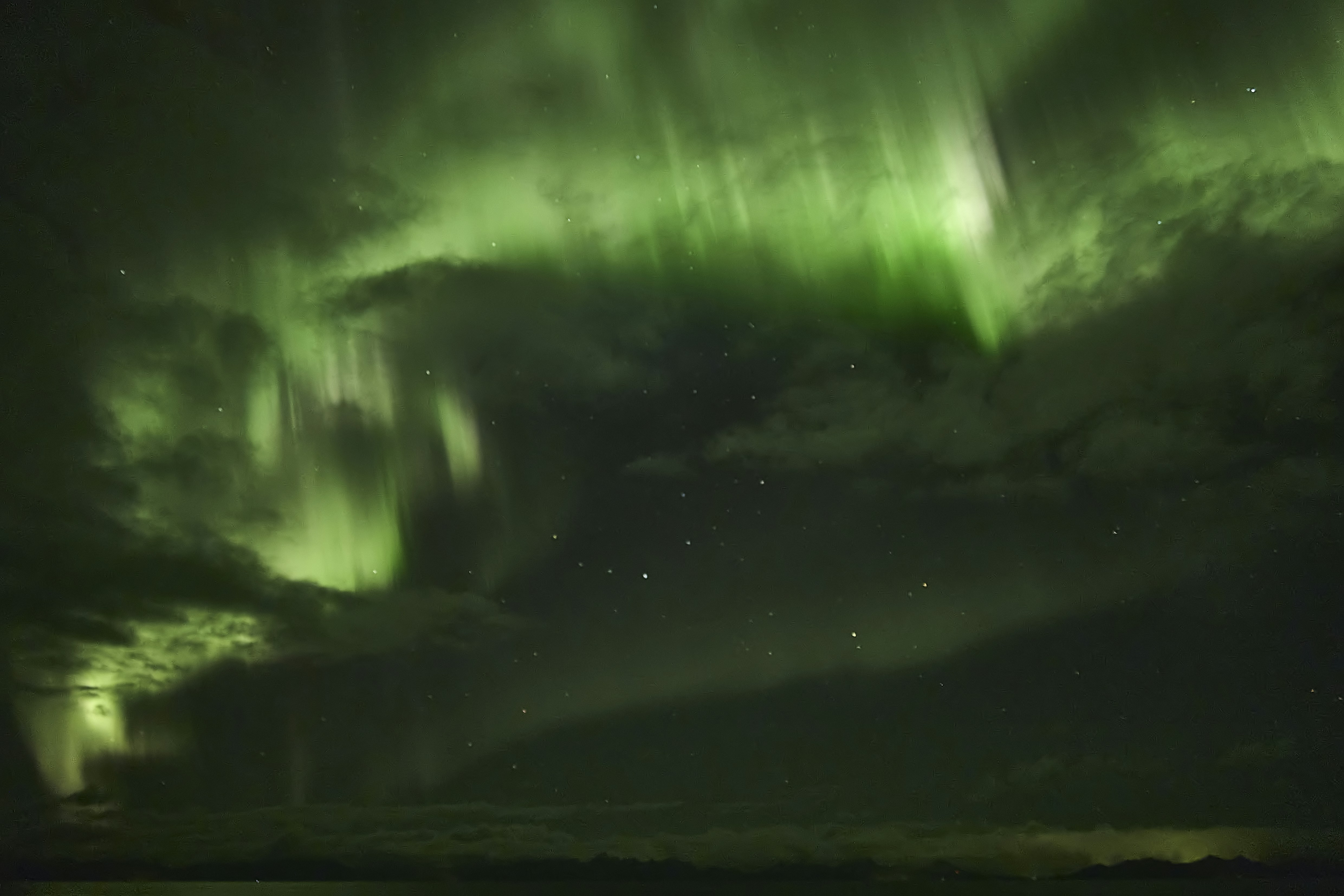 Photo by wolfgang_hasselmann