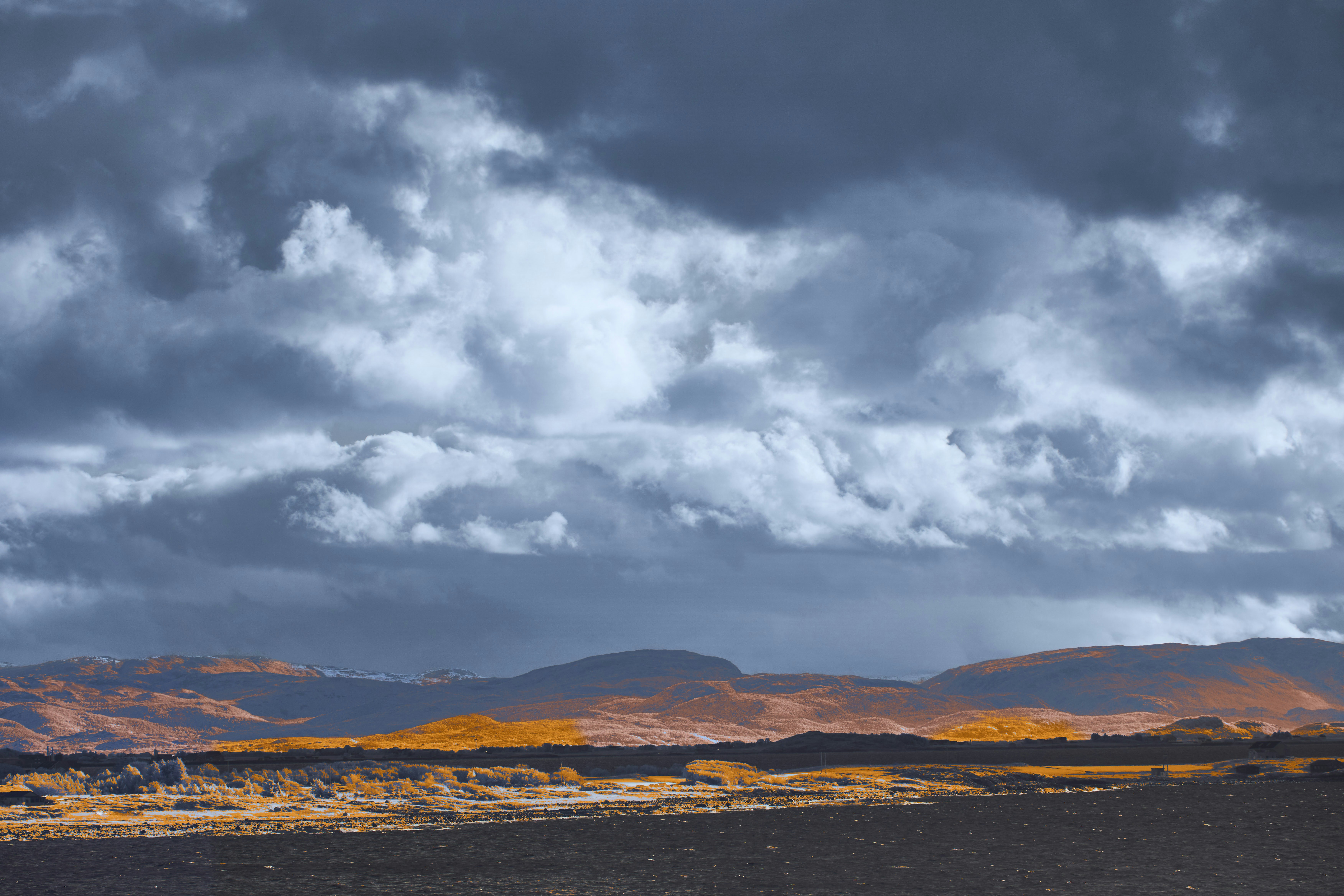 Photo by wolfgang_hasselmann