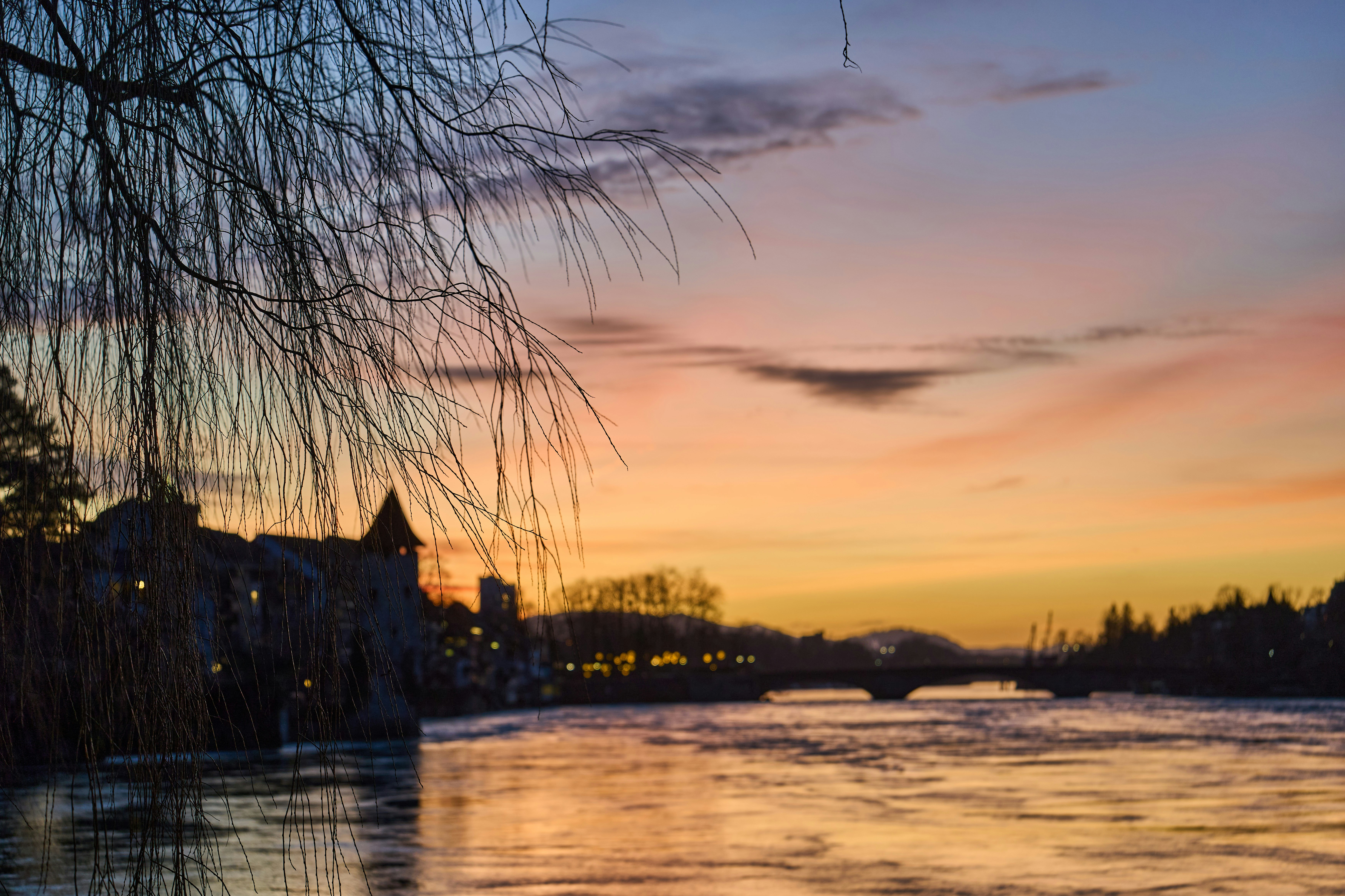 Photo by wolfgang_hasselmann