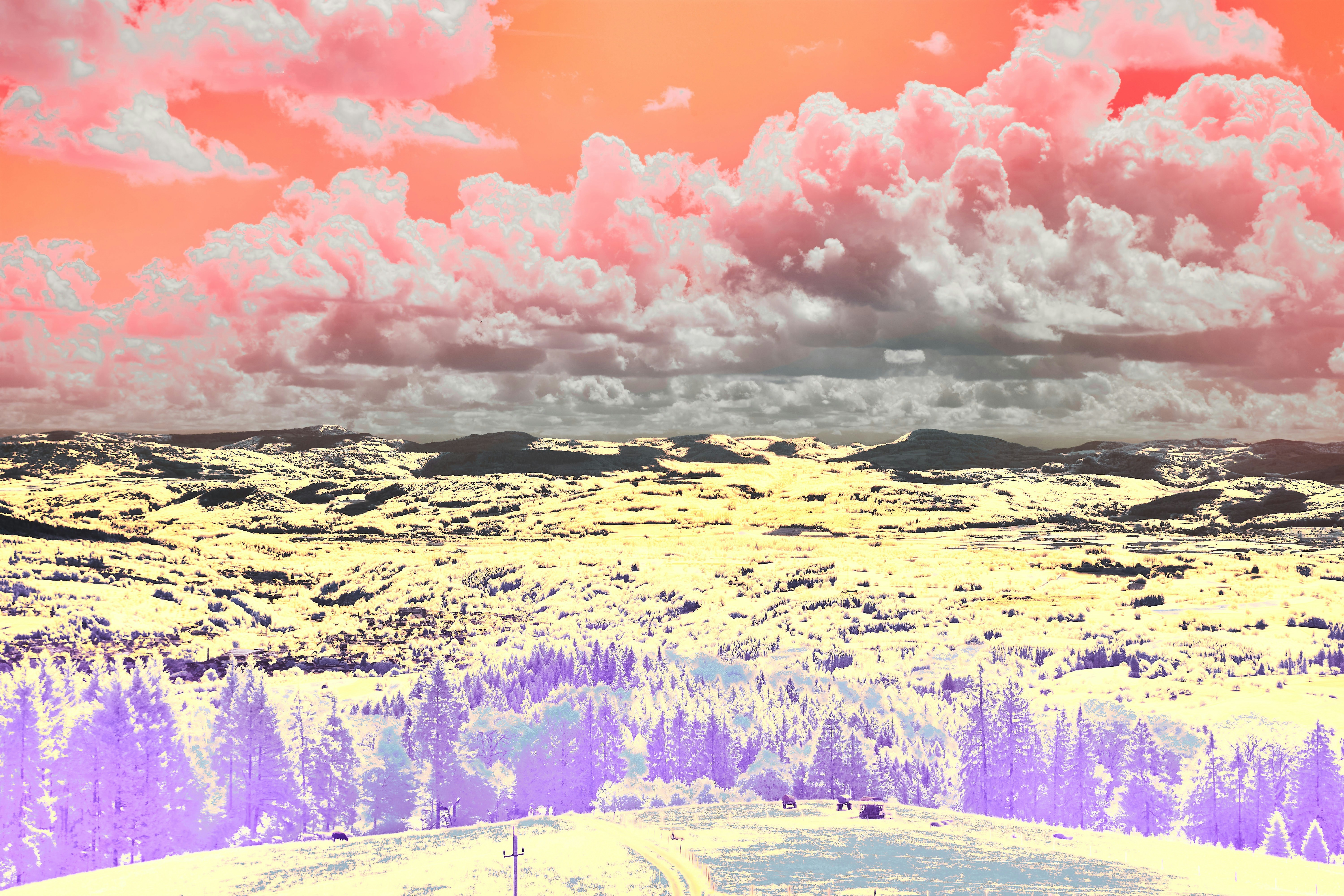 Photo by wolfgang_hasselmann