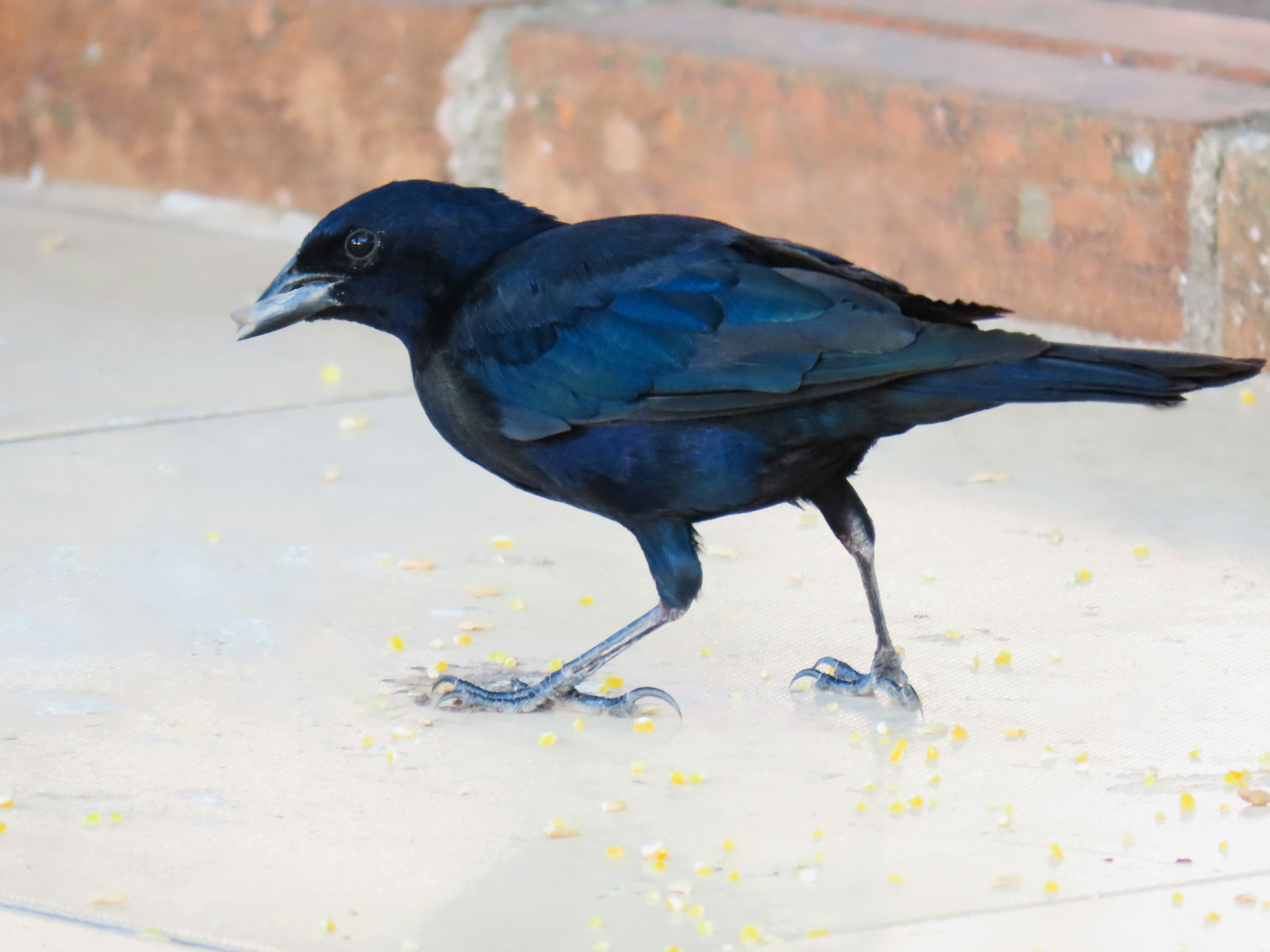 Photo by patricianicoloso