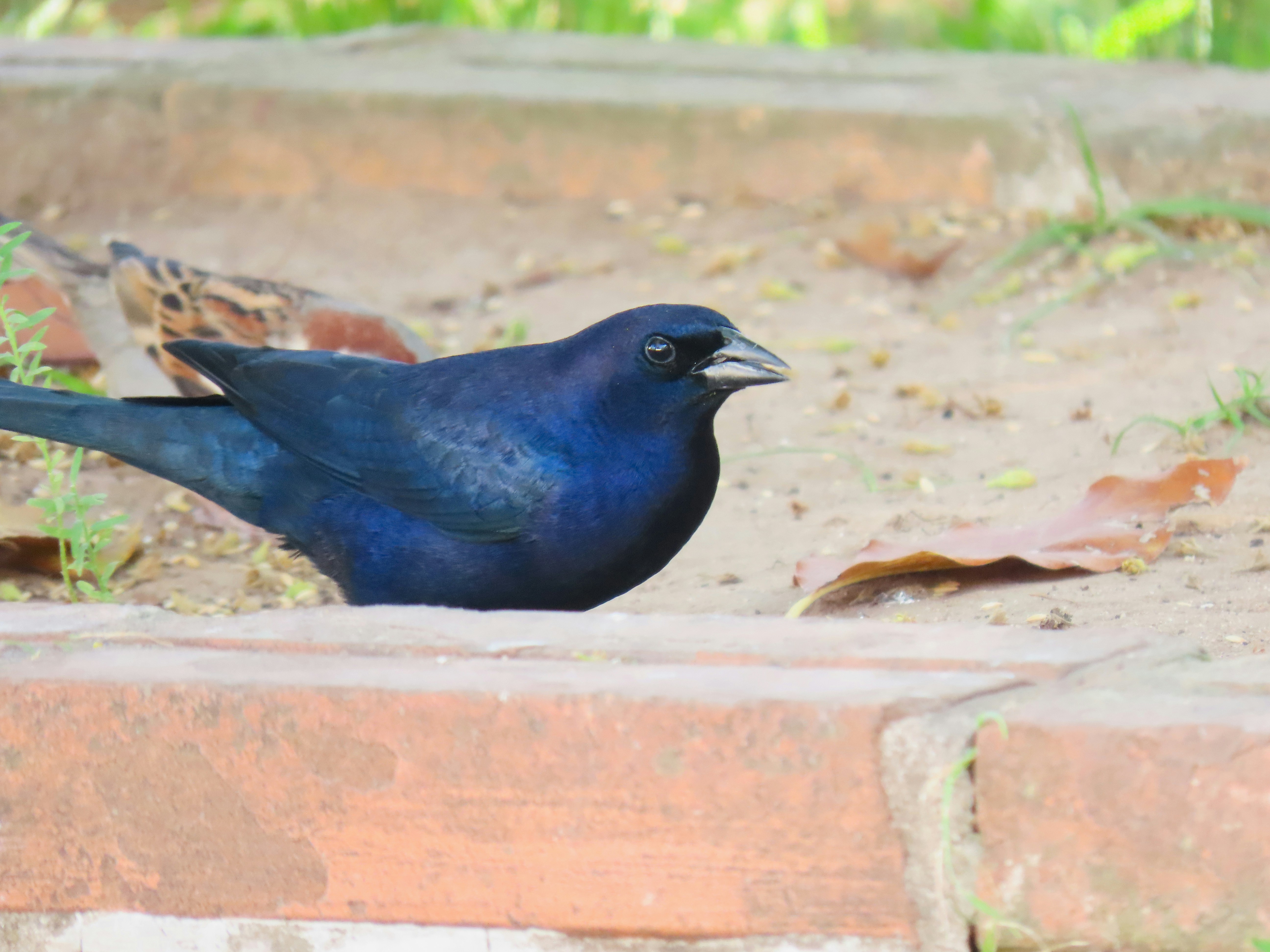 Photo by patricianicoloso