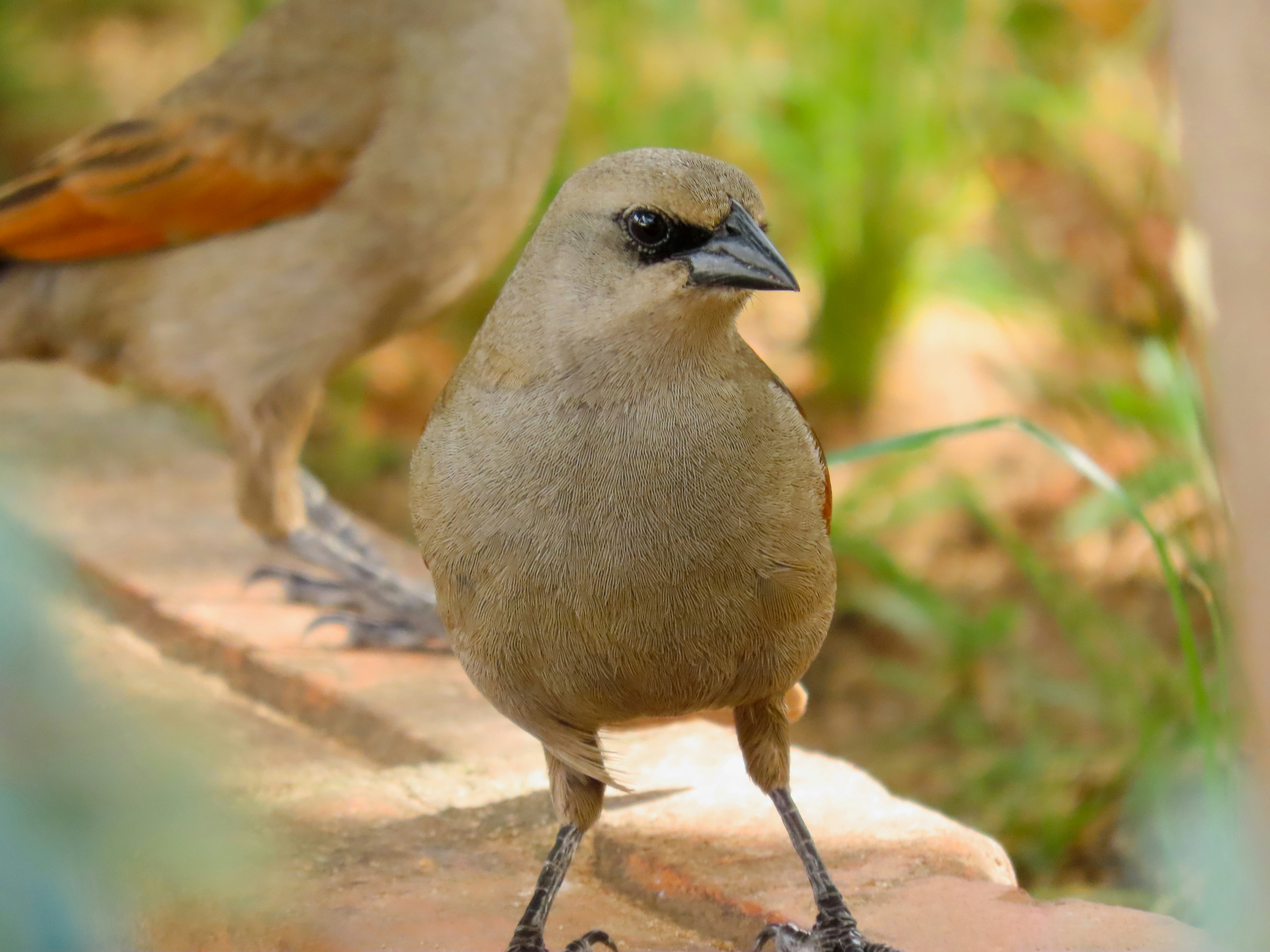 Photo by patricianicoloso