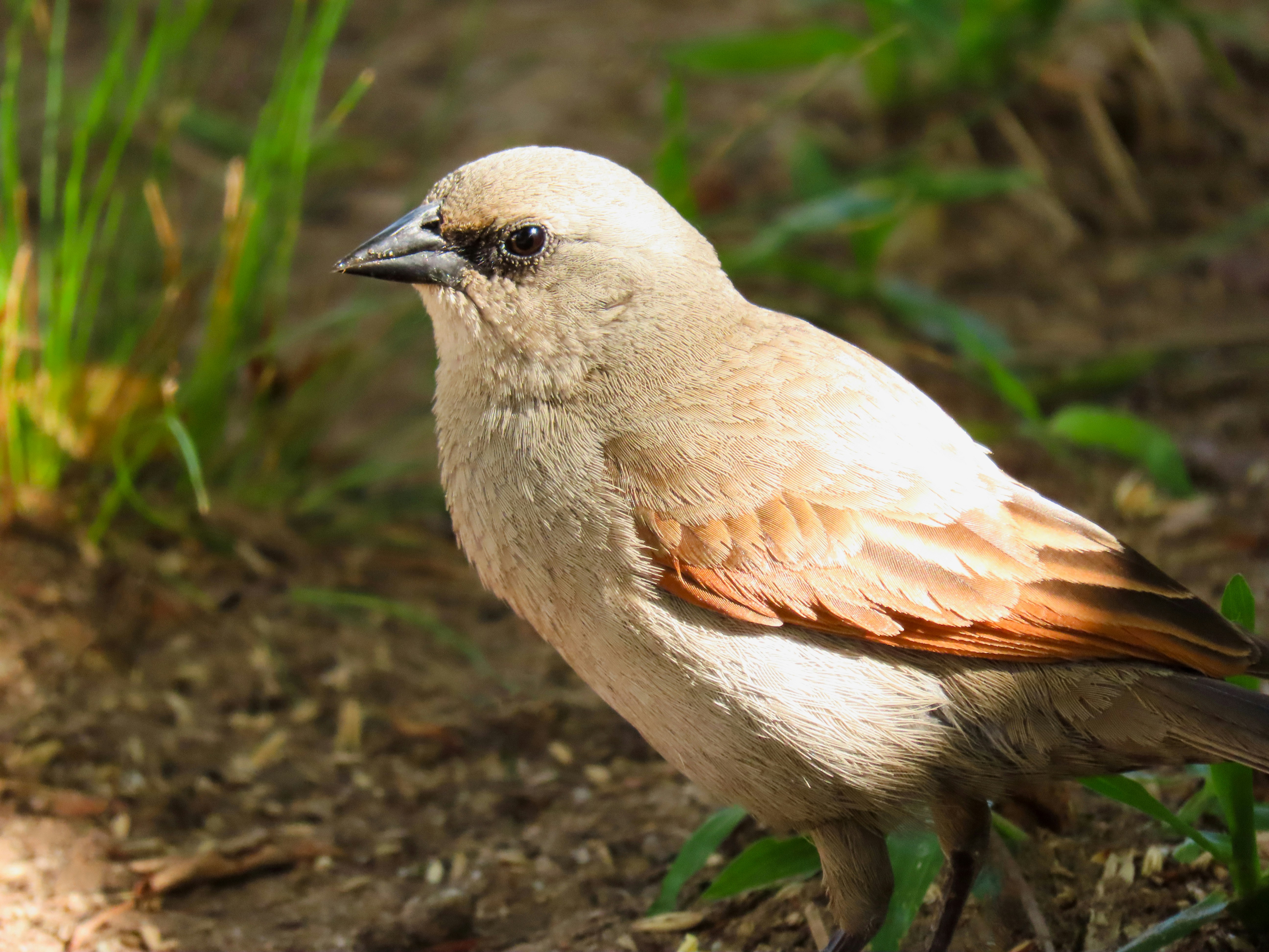 Photo by patricianicoloso