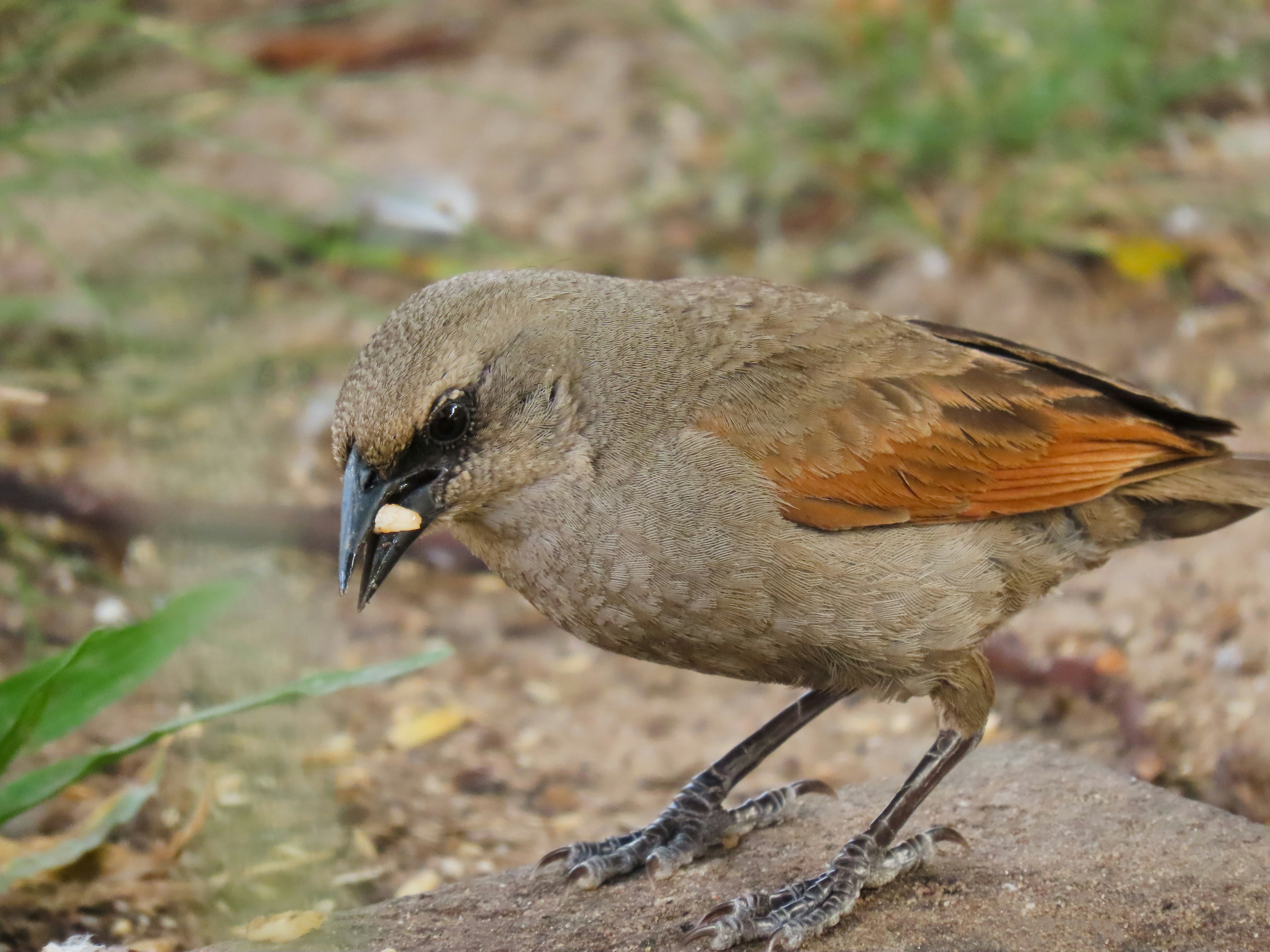 Photo by patricianicoloso