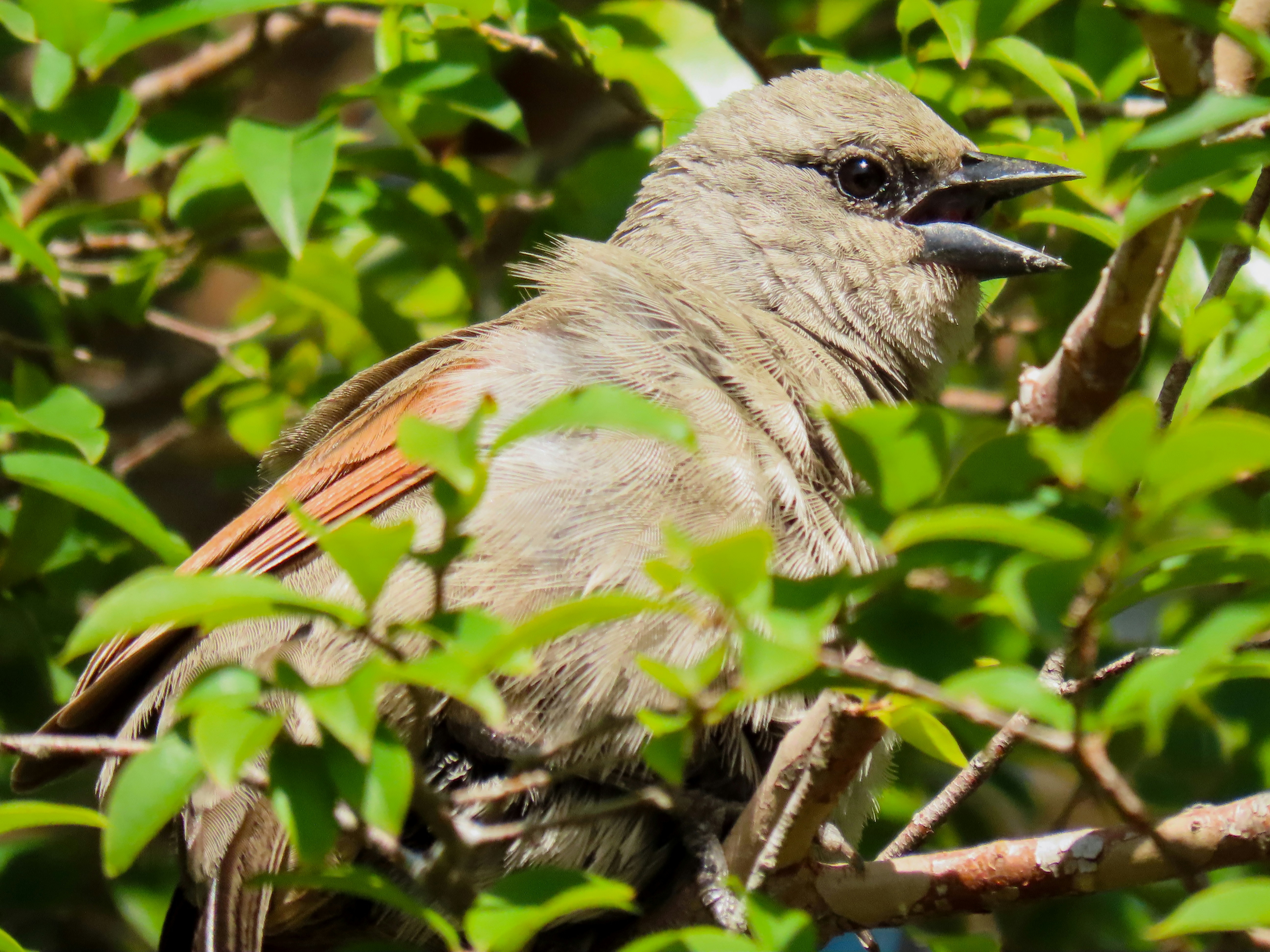 Photo by patricianicoloso