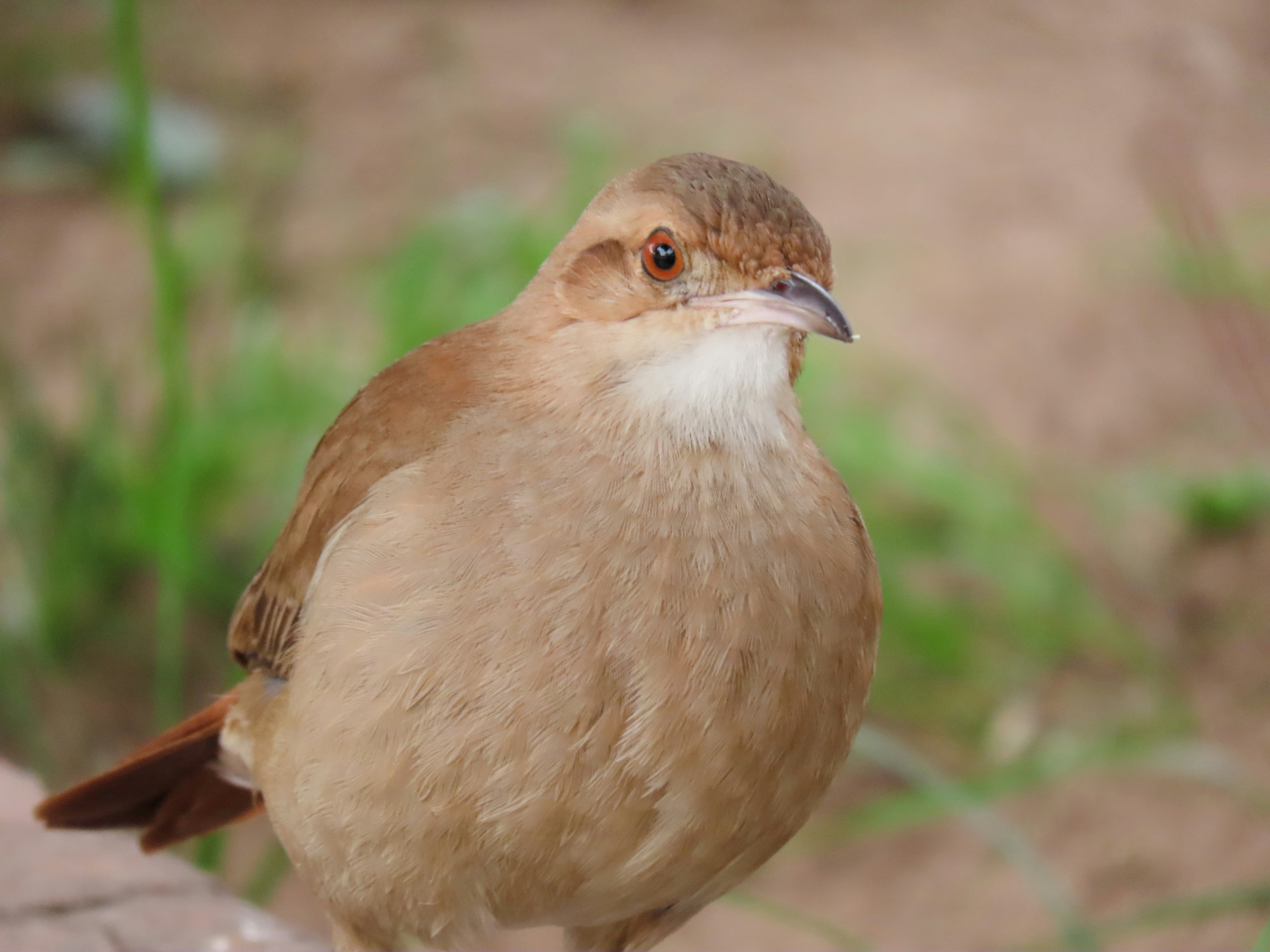 Photo by patricianicoloso