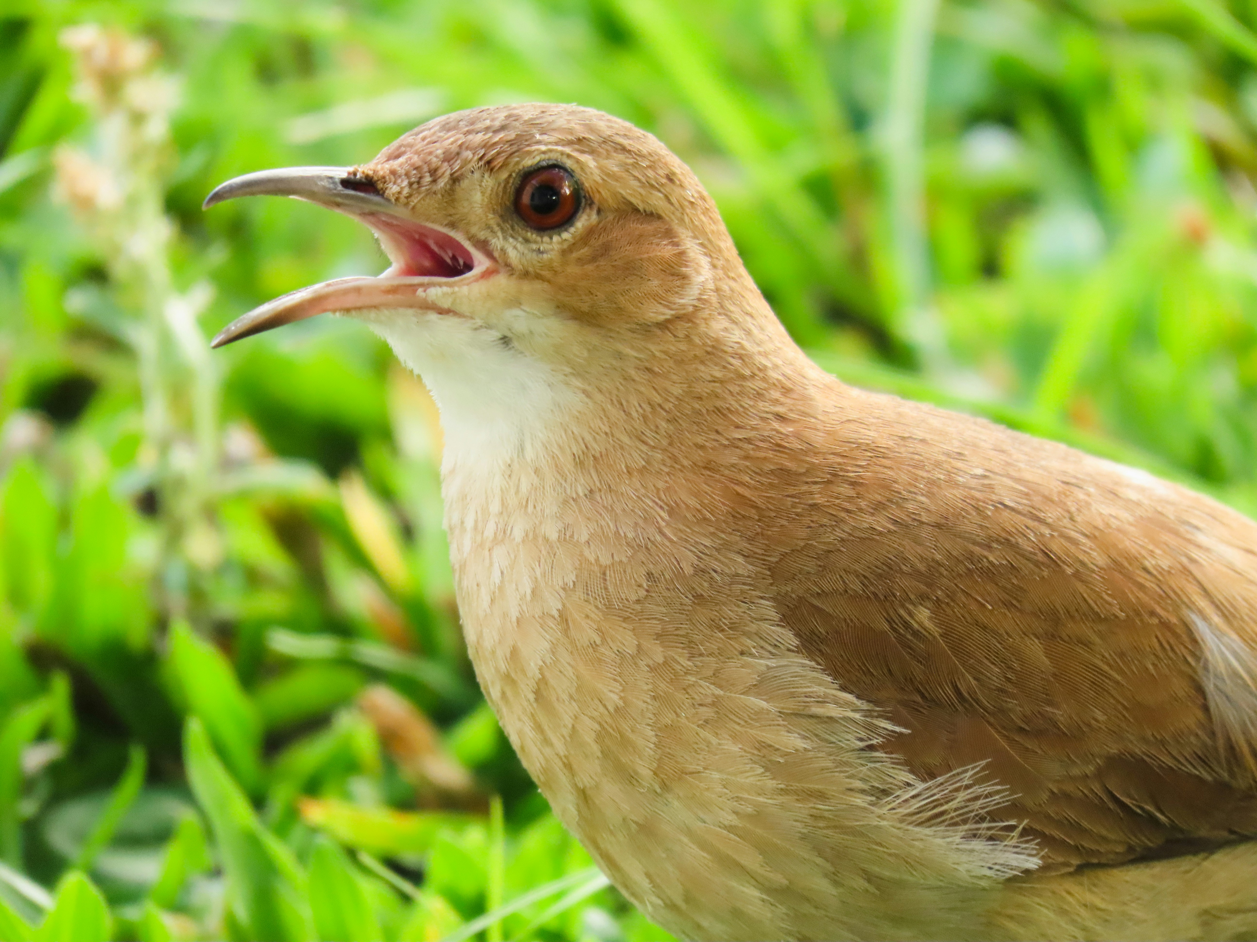 Photo by patricianicoloso